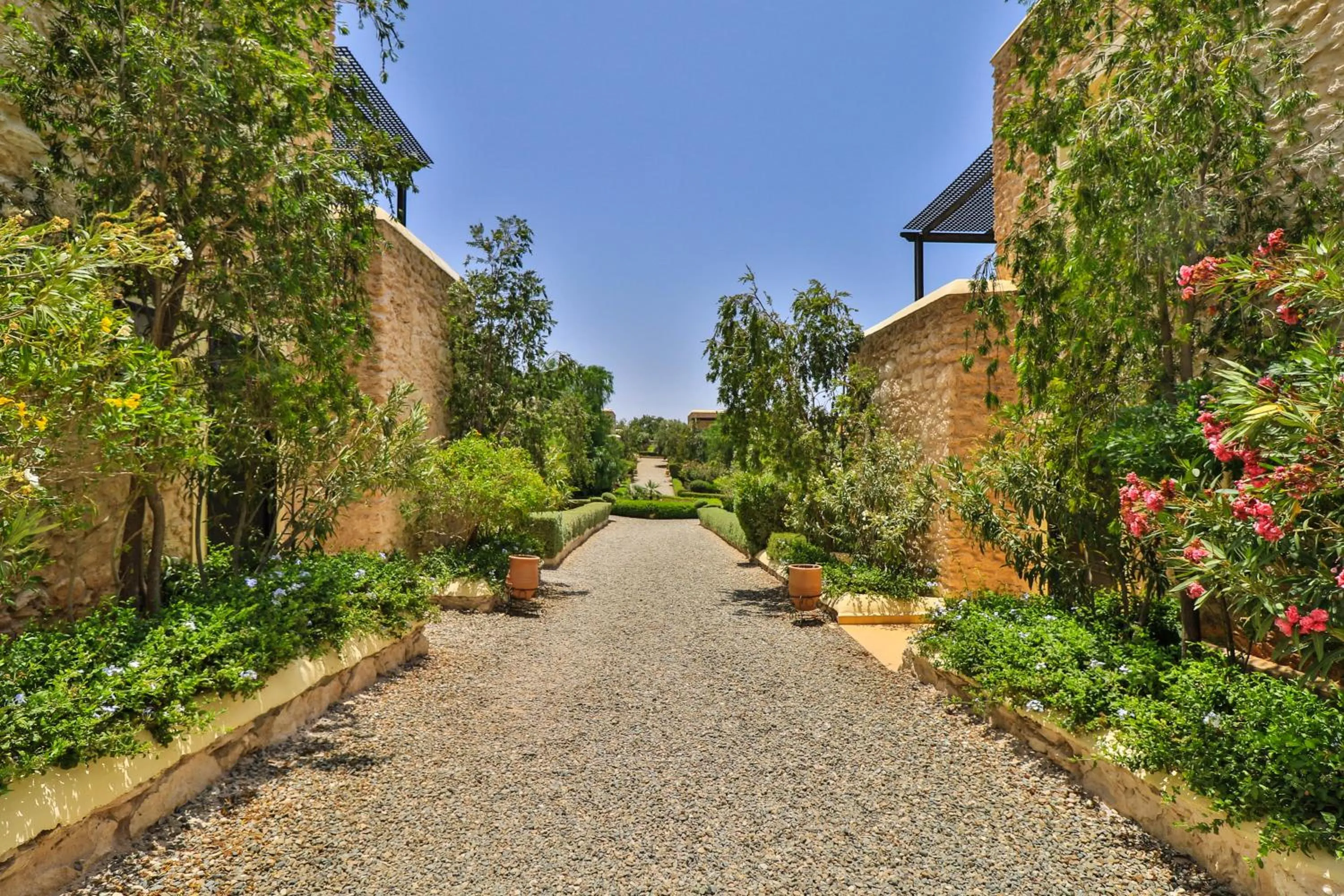 Garden in Essaouira Lodge