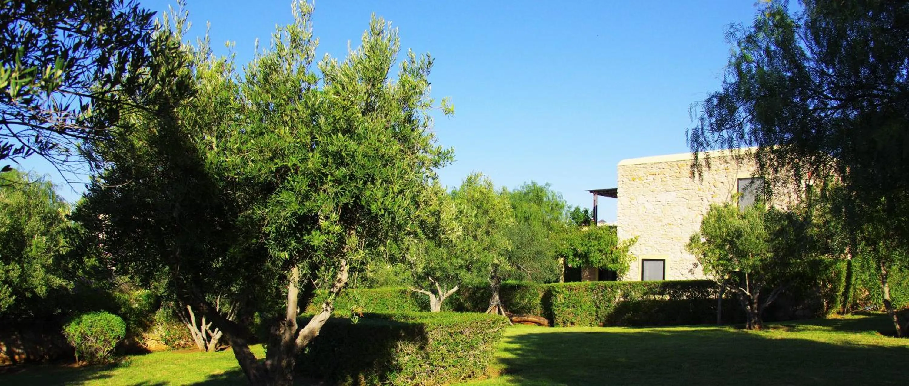 Garden in Essaouira Lodge
