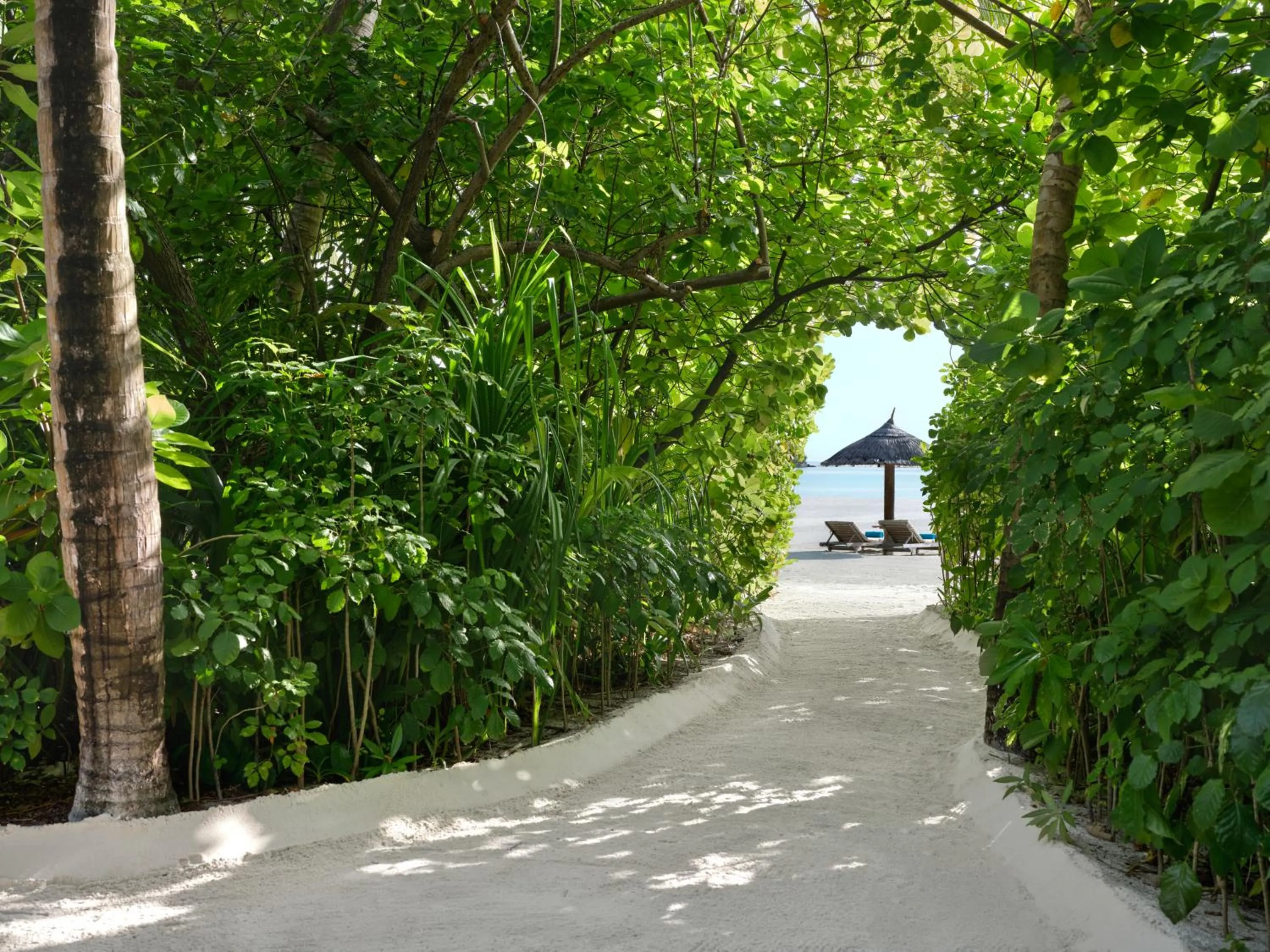 Garden in Anantara Dhigu Maldives Resort