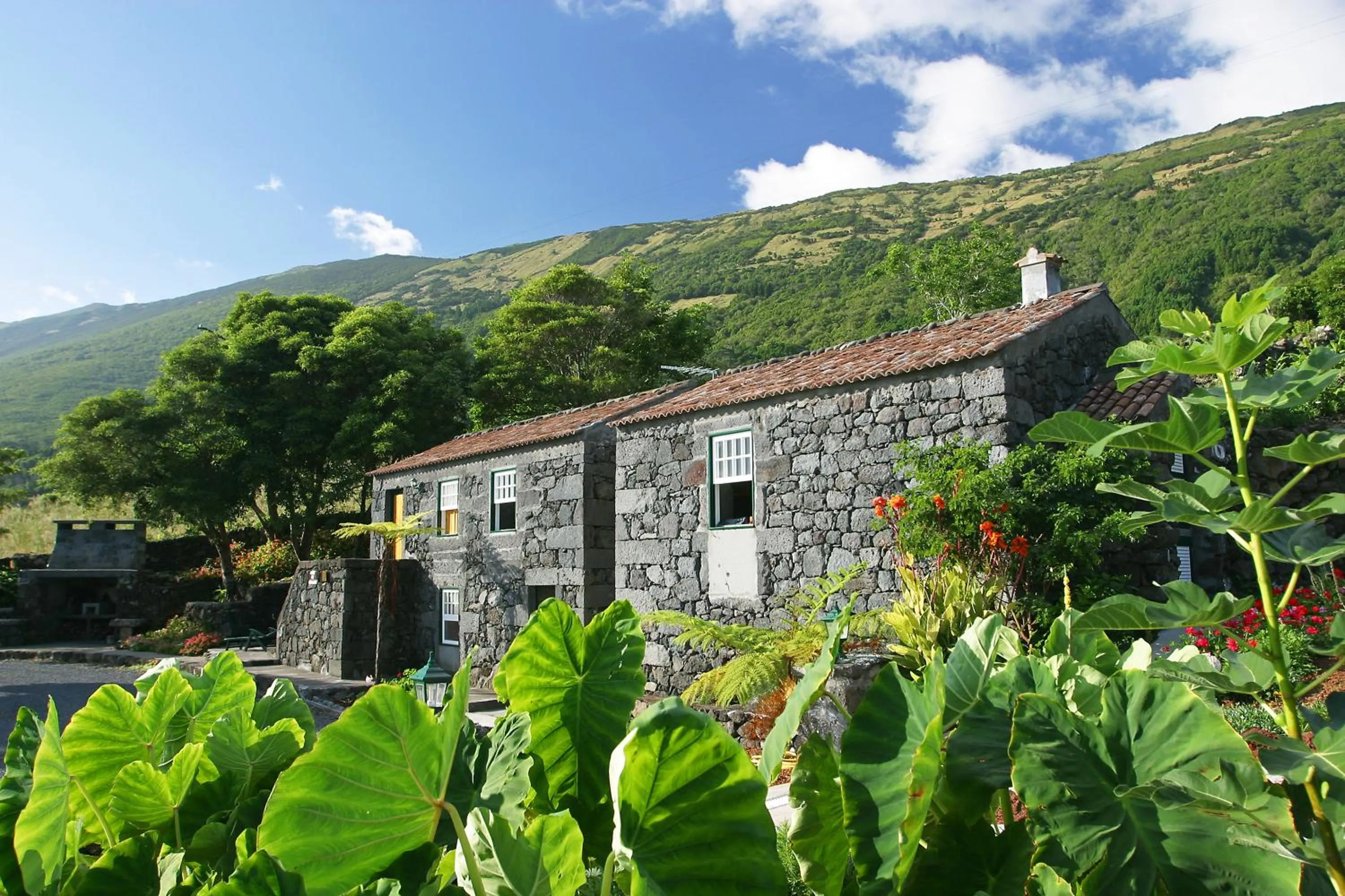 Adegas do Pico