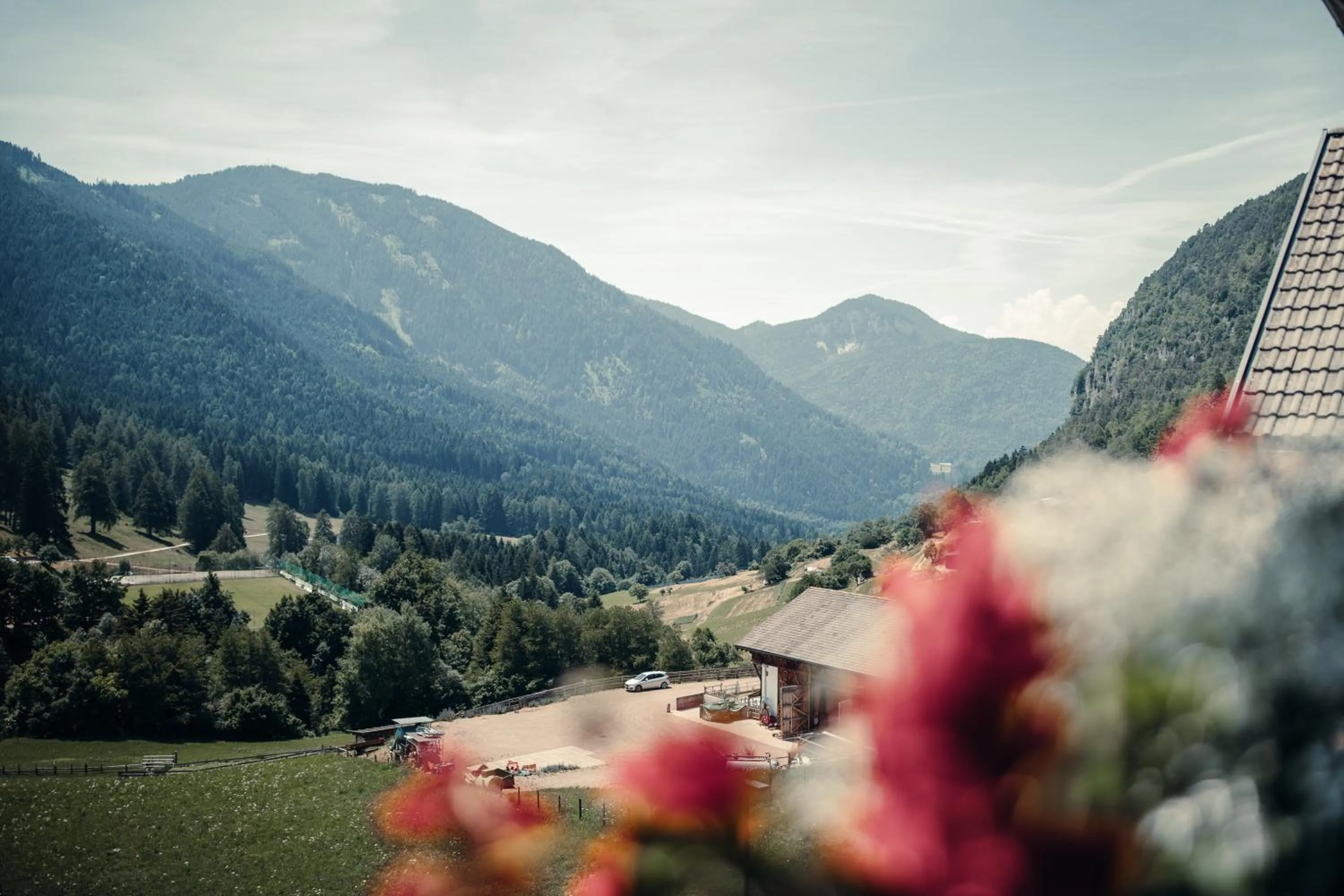 Natural landscape in Hotel Ludwigshof & Luvina