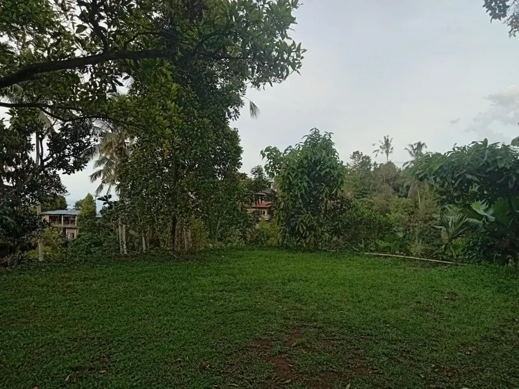 Budget Double Room in Sekumpul Local House Budget Double Room in Sekumpul Local House