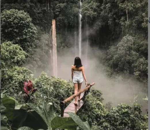 Natural landscape in Sekumpul Local House