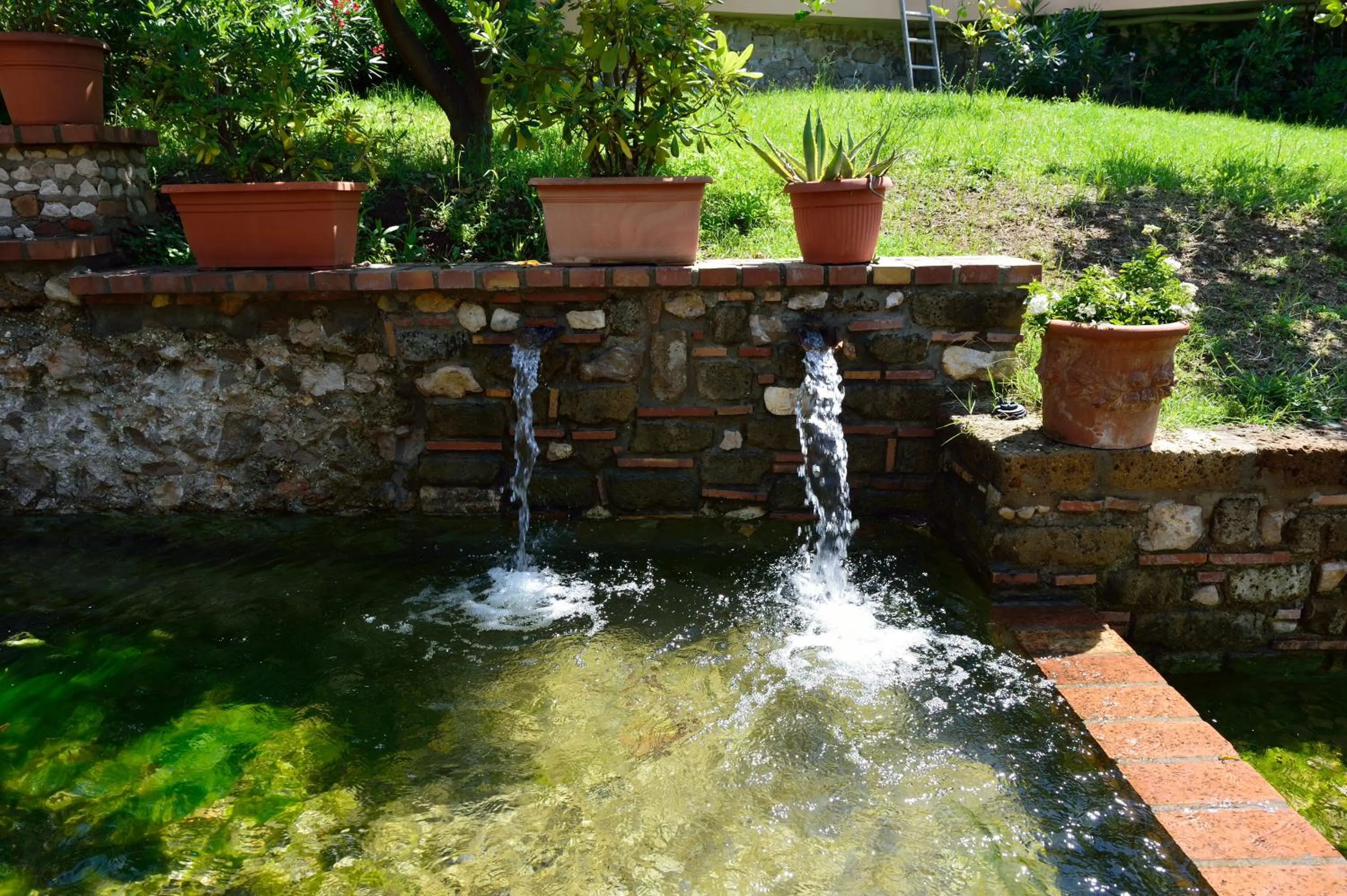 Garden in Hotel Acquasanta