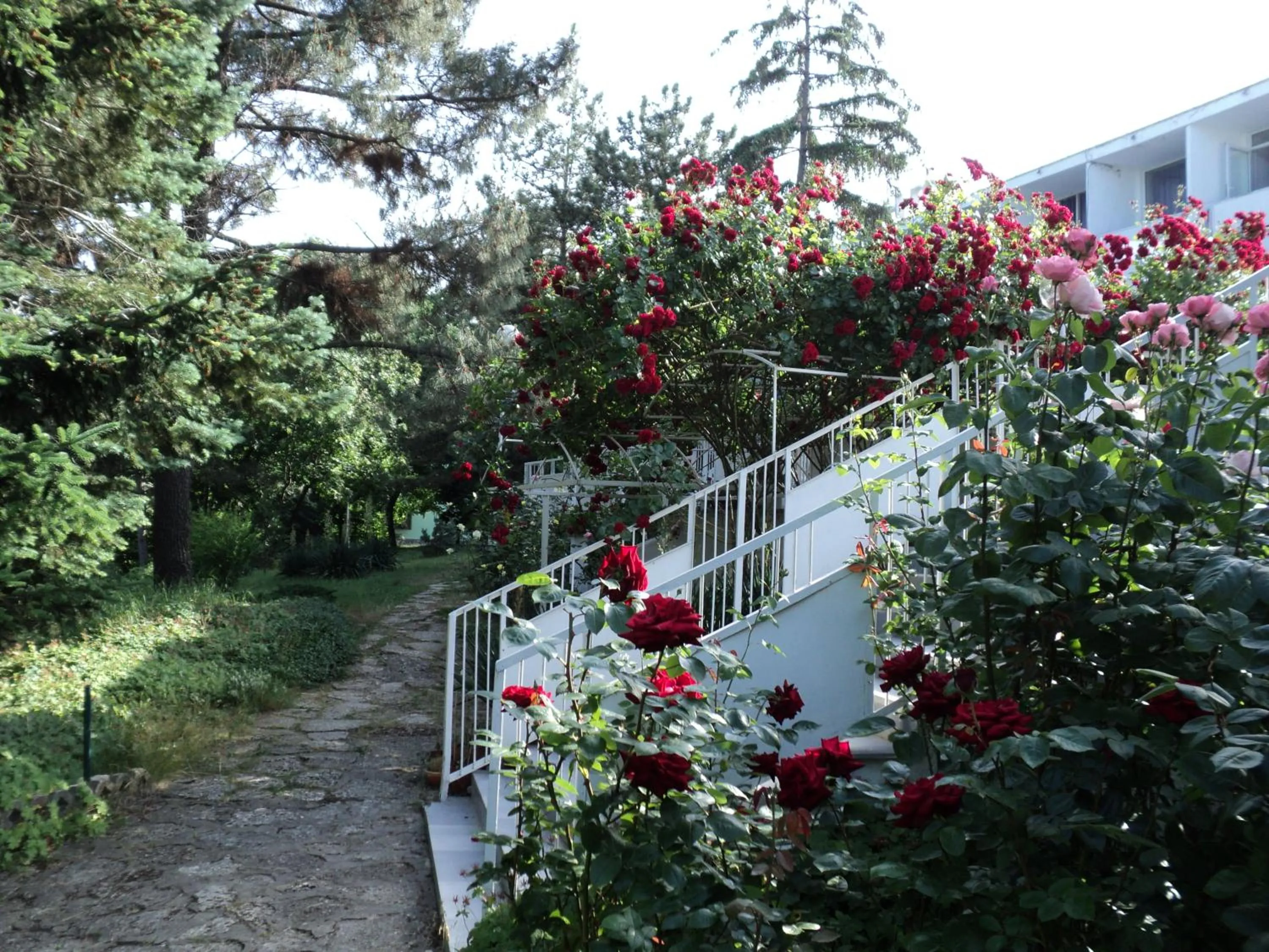 Garden in Hotel Horizont