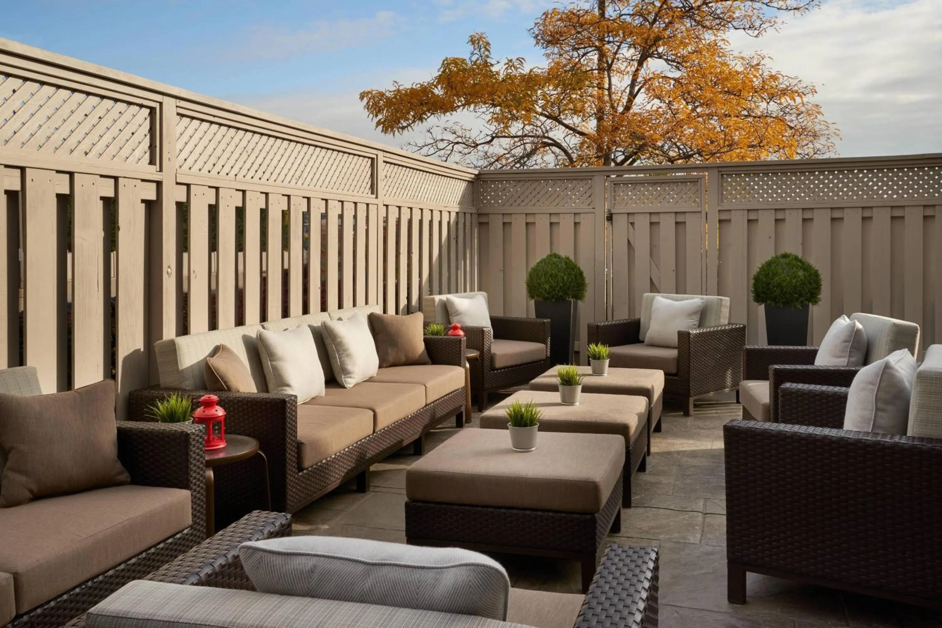 View (from property/room) in Courtyard by Marriott Toronto Airport