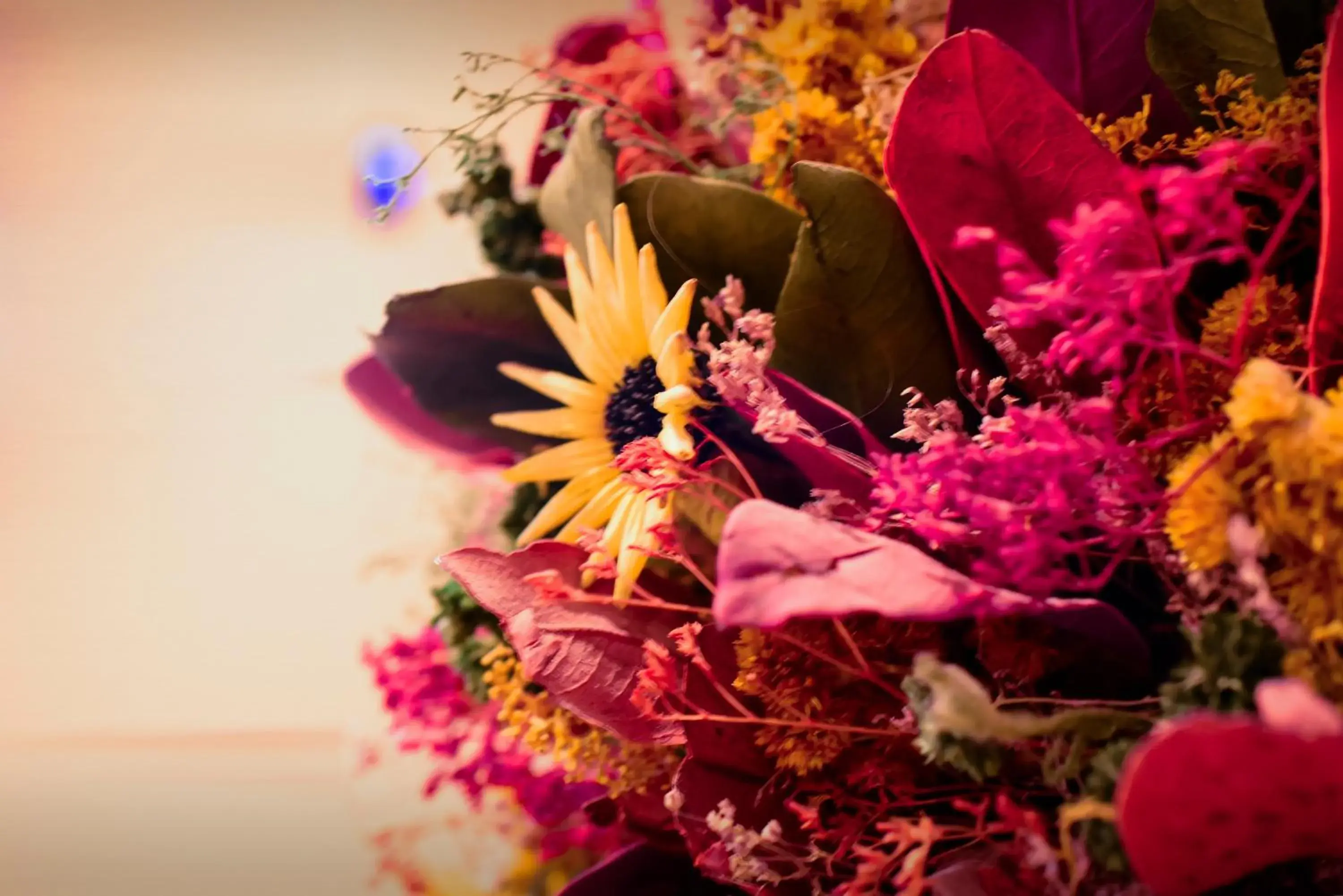 Food and drinks in Hotel Boutique Gold Garden Food and drinks in Hotel Boutique Gold Garden