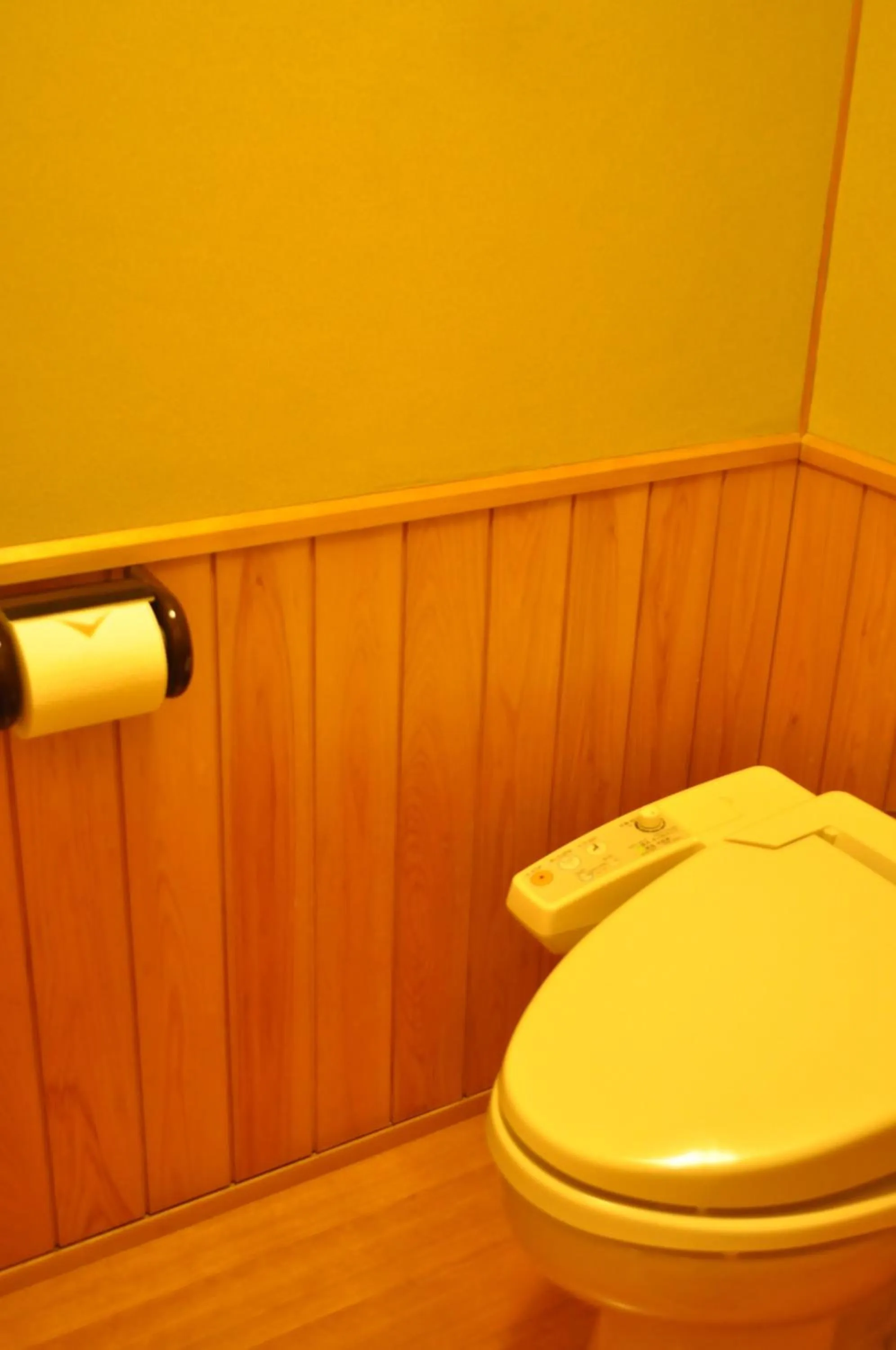 Toilet in Nara Hotel