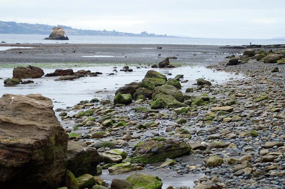 Hotel Boutique Antukenu