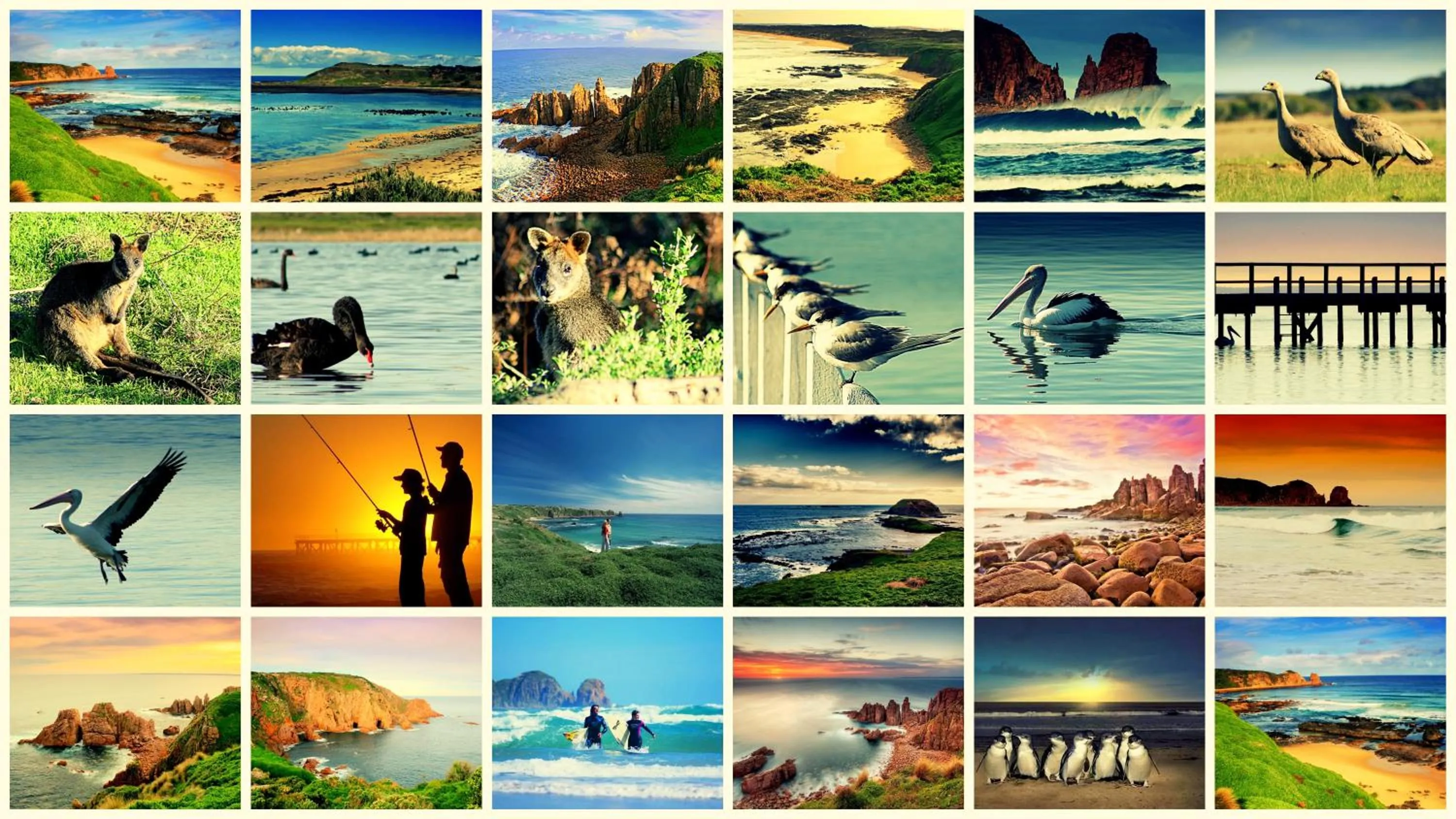 Natural landscape in The Island Accommodation