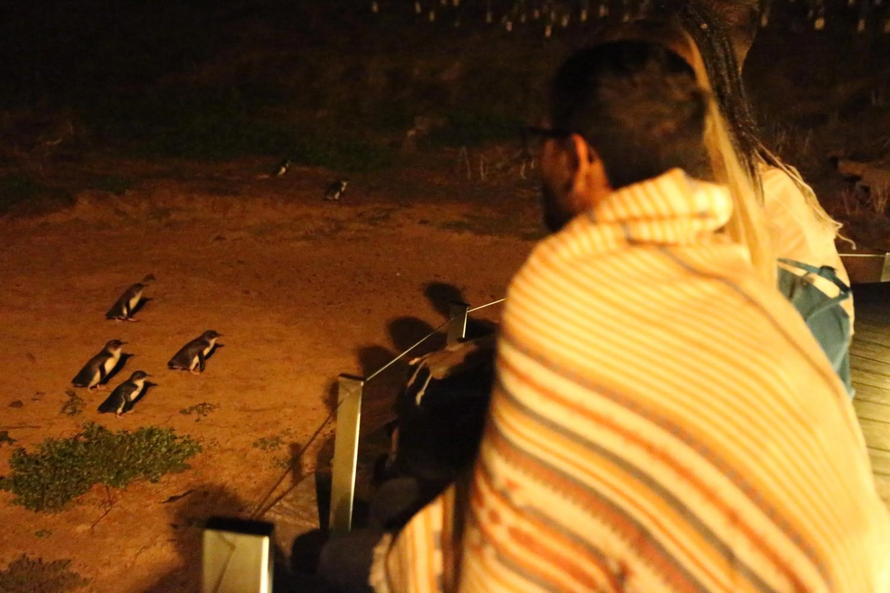 Nearby landmark in The Island Accommodation