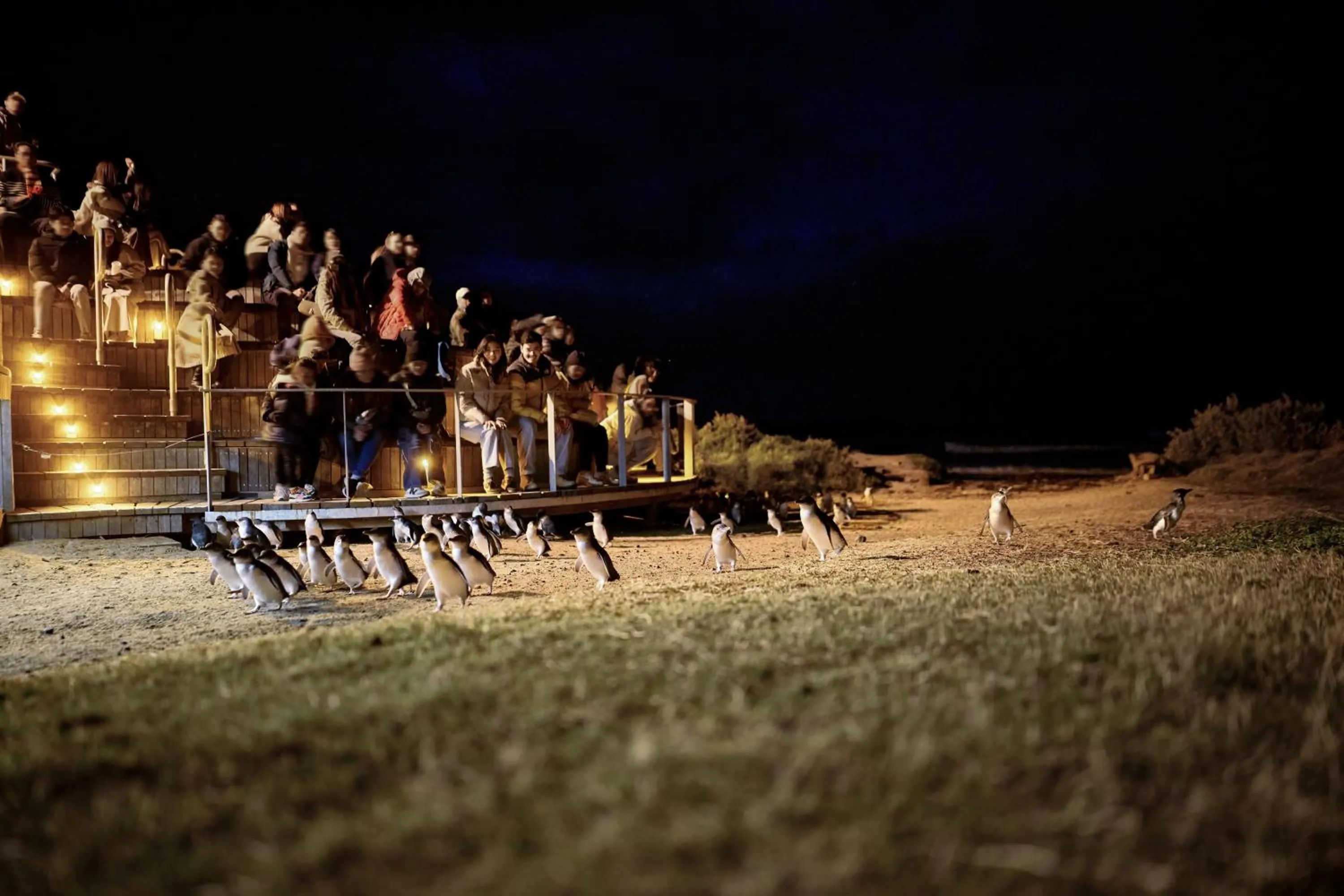 Night in The Island Accommodation