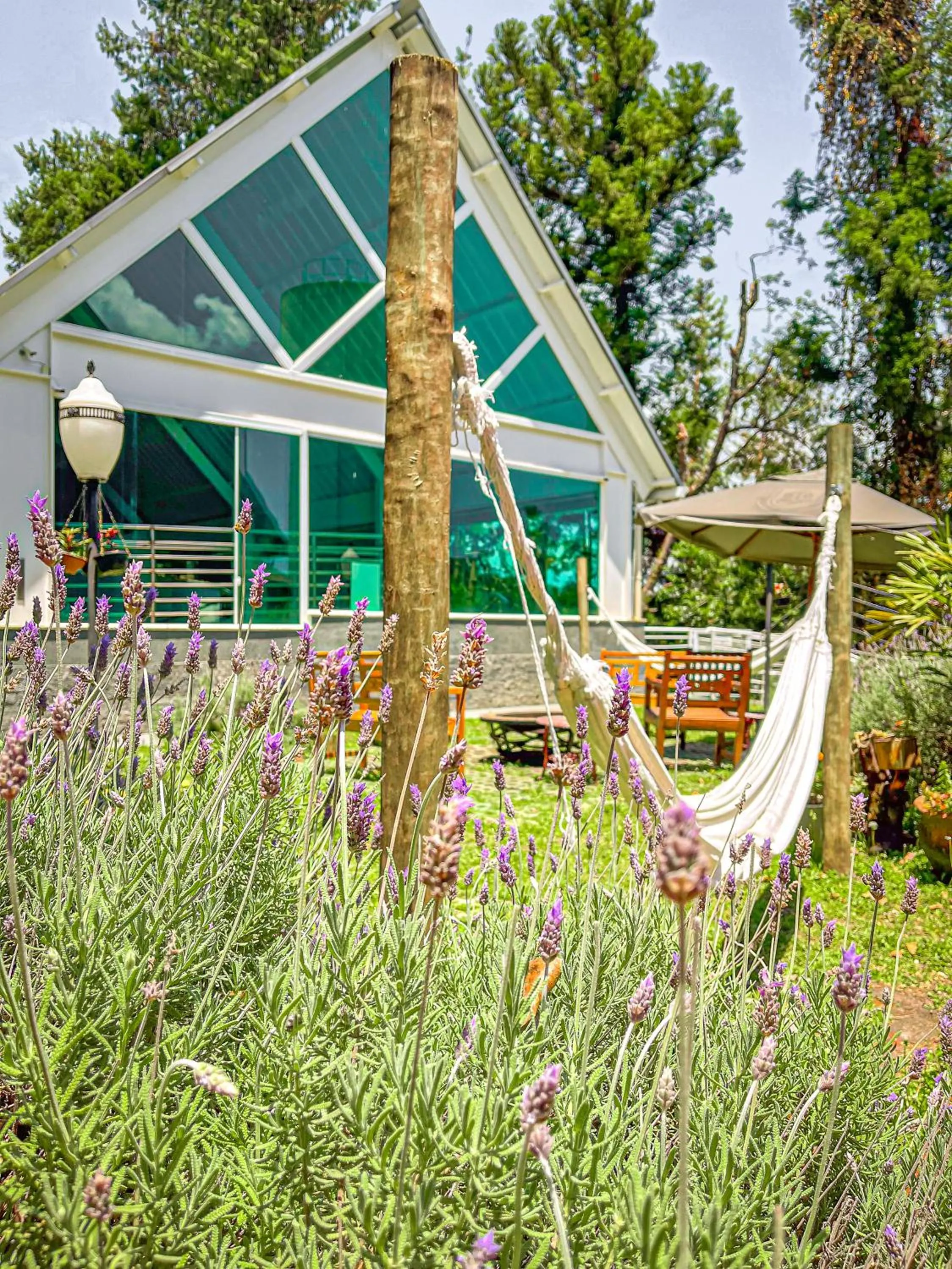 Garden in Hotel Dan Inn Campos do Jordão