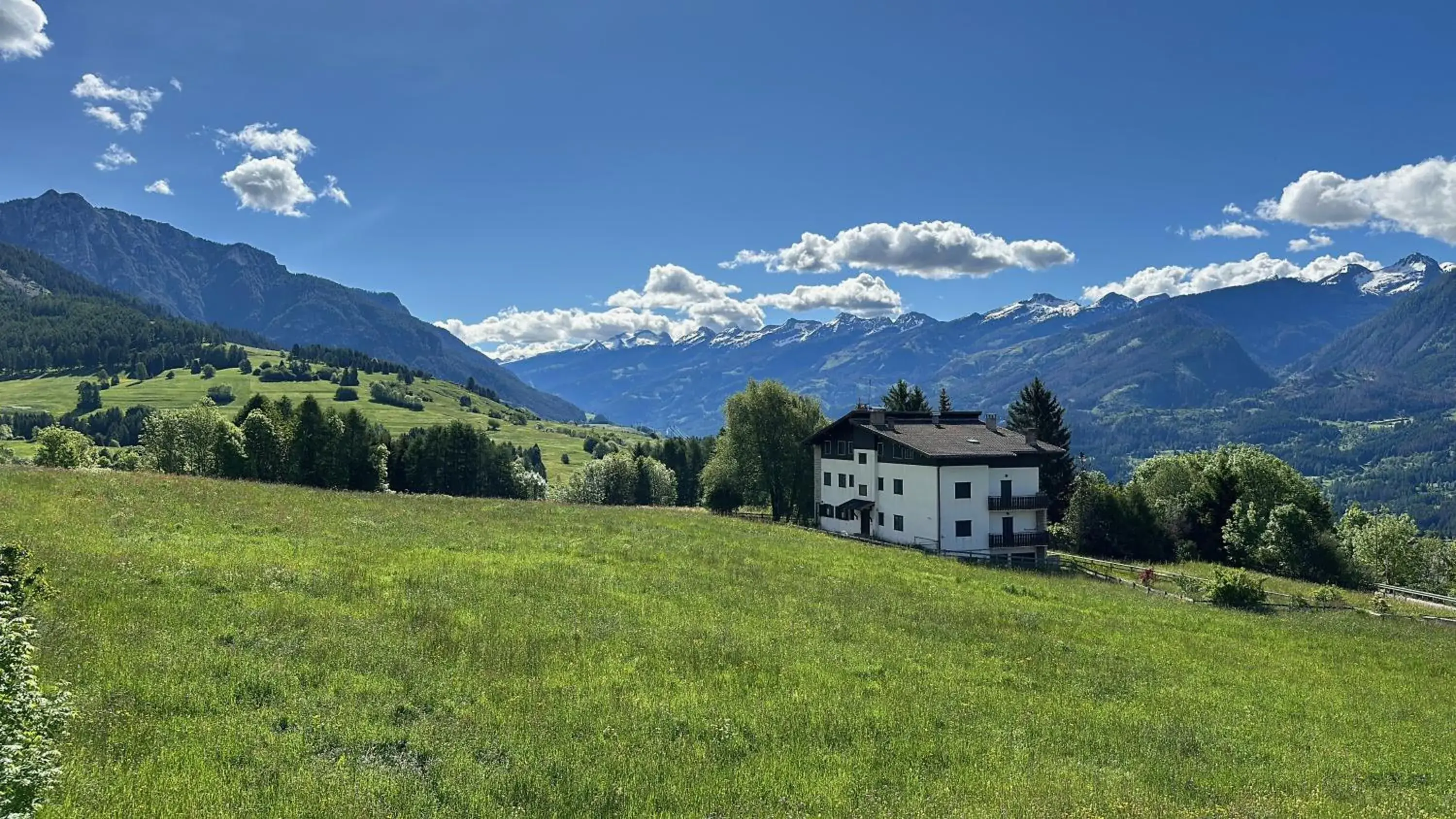 Garden view in Hotel Garni Edy Garden view in Hotel Garni Edy