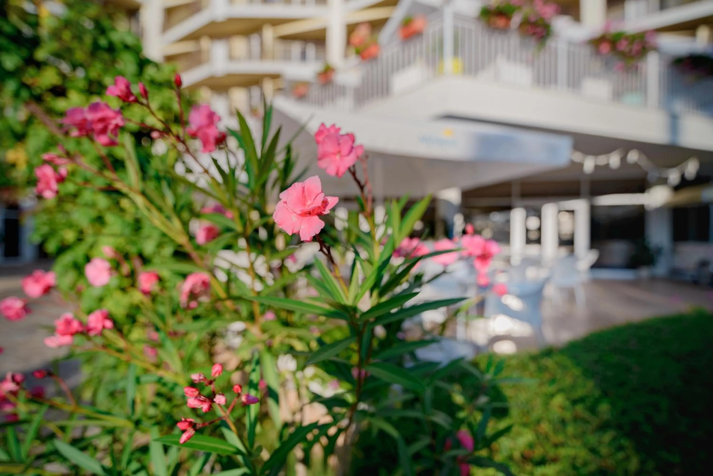 Day in Madara Park Hotel - All Inclusive