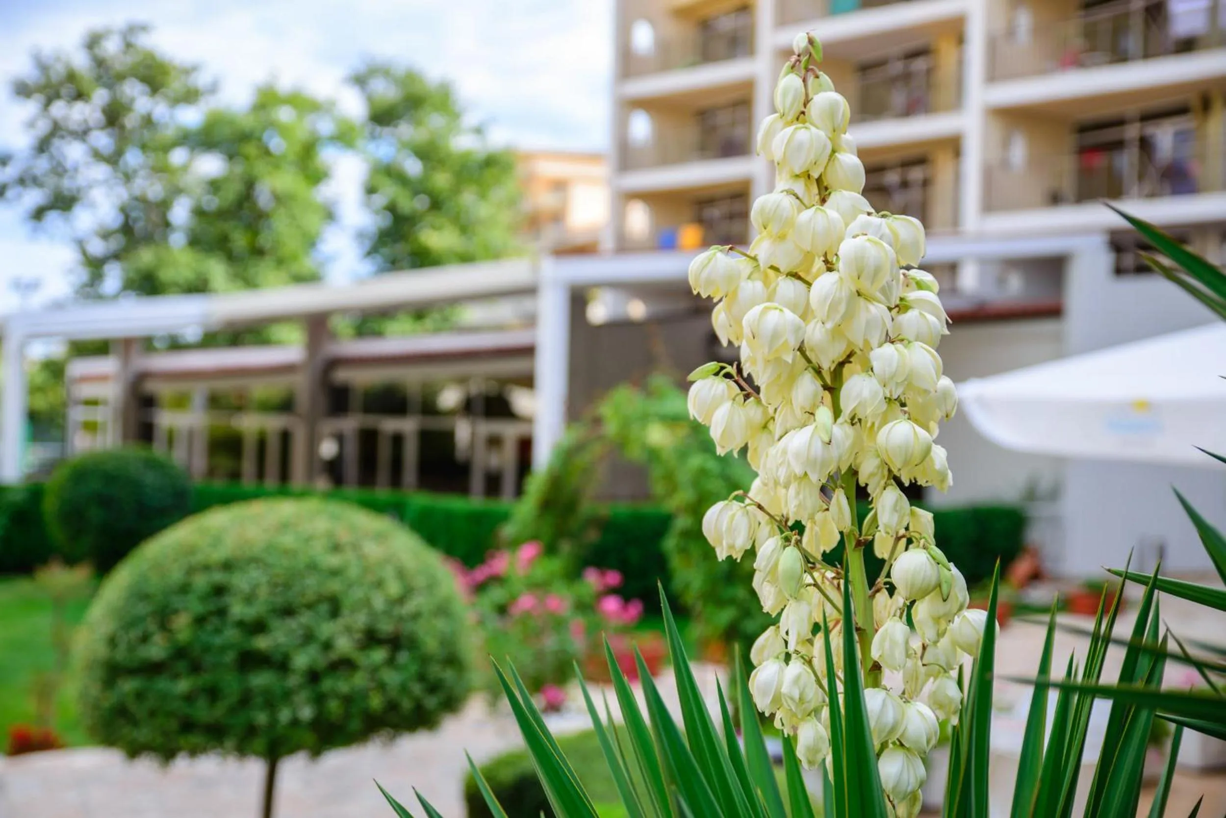 Garden in Madara Park Hotel - All Inclusive