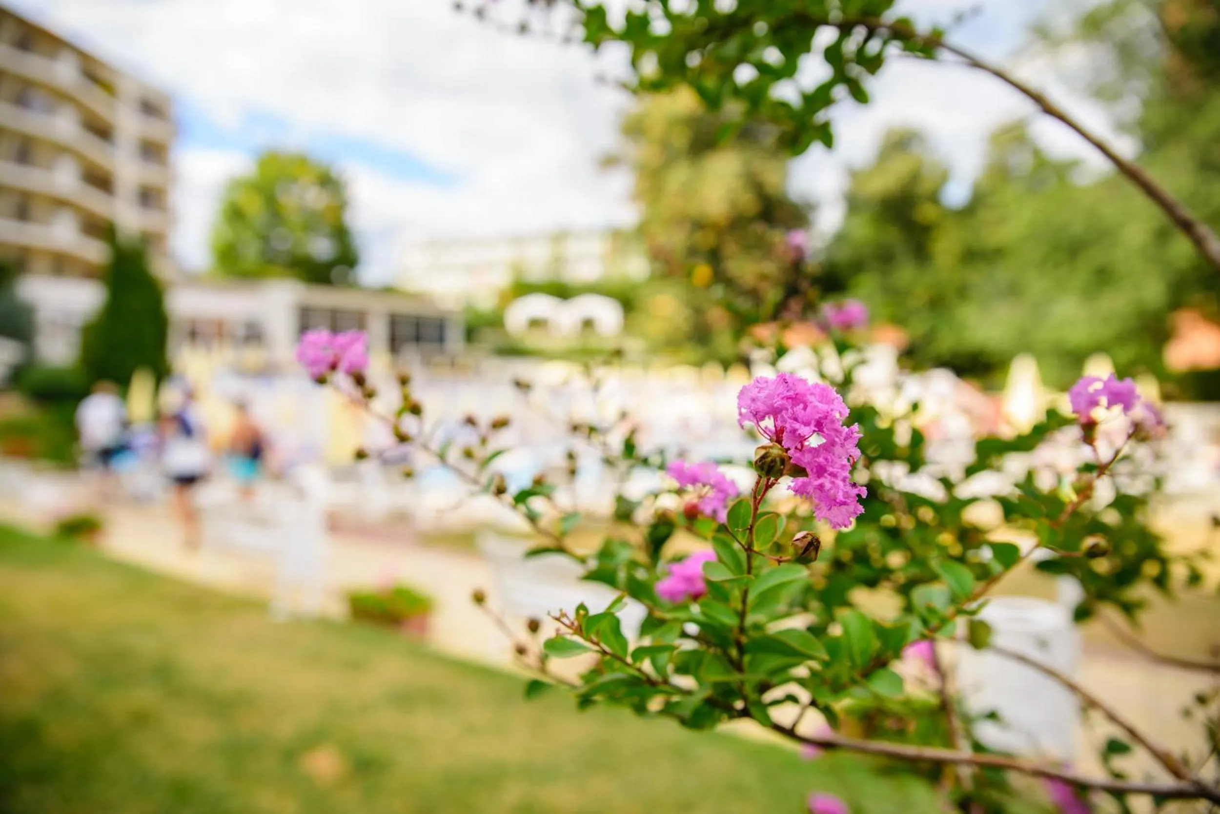 Garden in Madara Park Hotel - All Inclusive