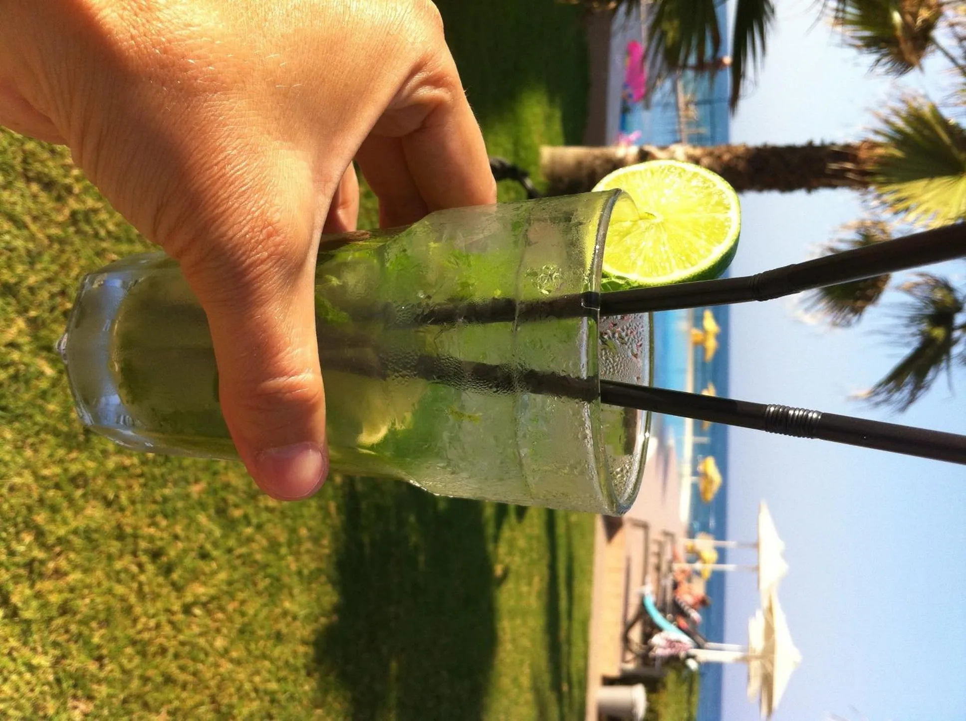 Garden in Phaedra Hotel