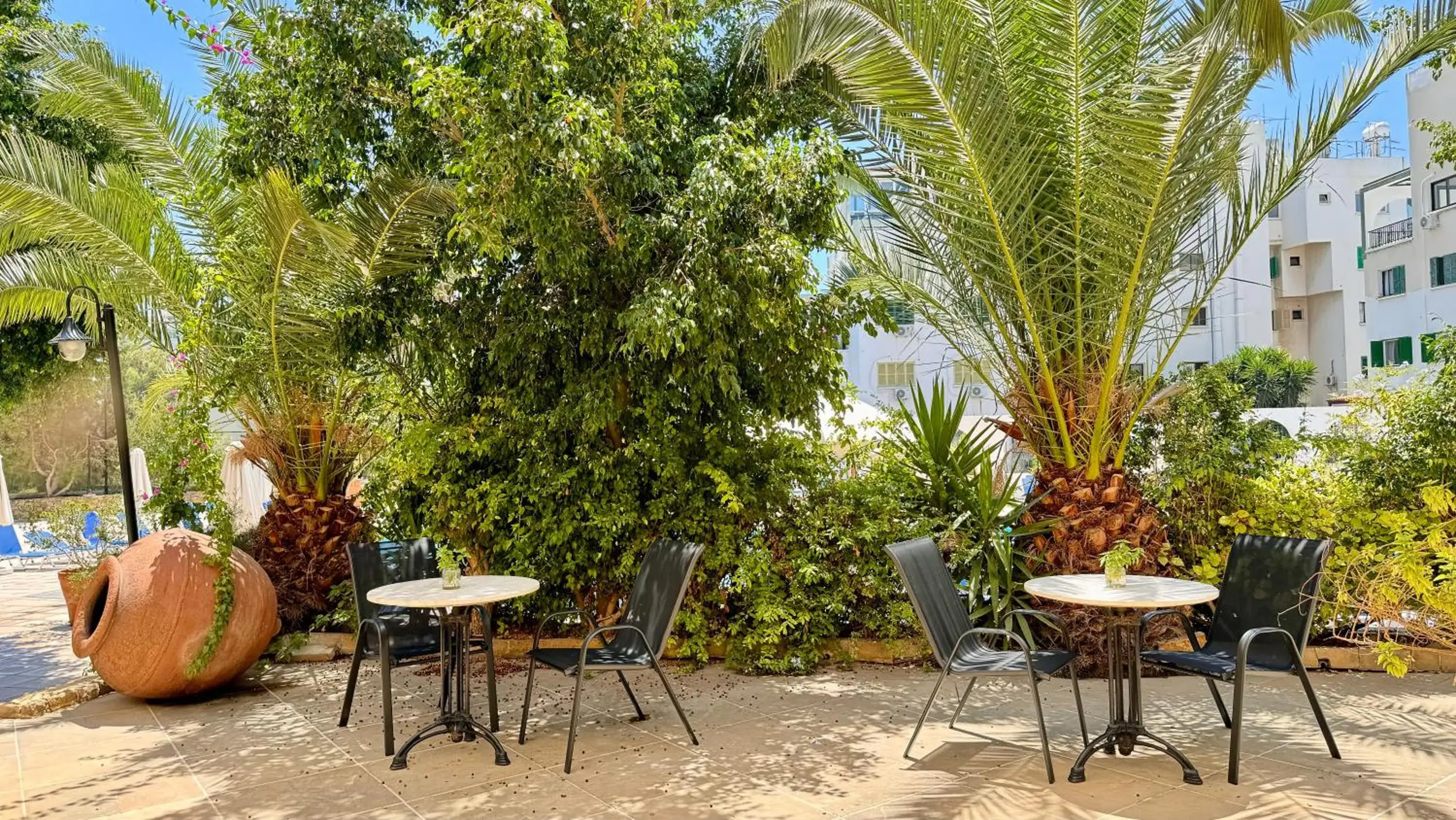 Restaurant/places to eat in Navarria Blue Hotel Restaurant/places to eat in Navarria Blue Hotel