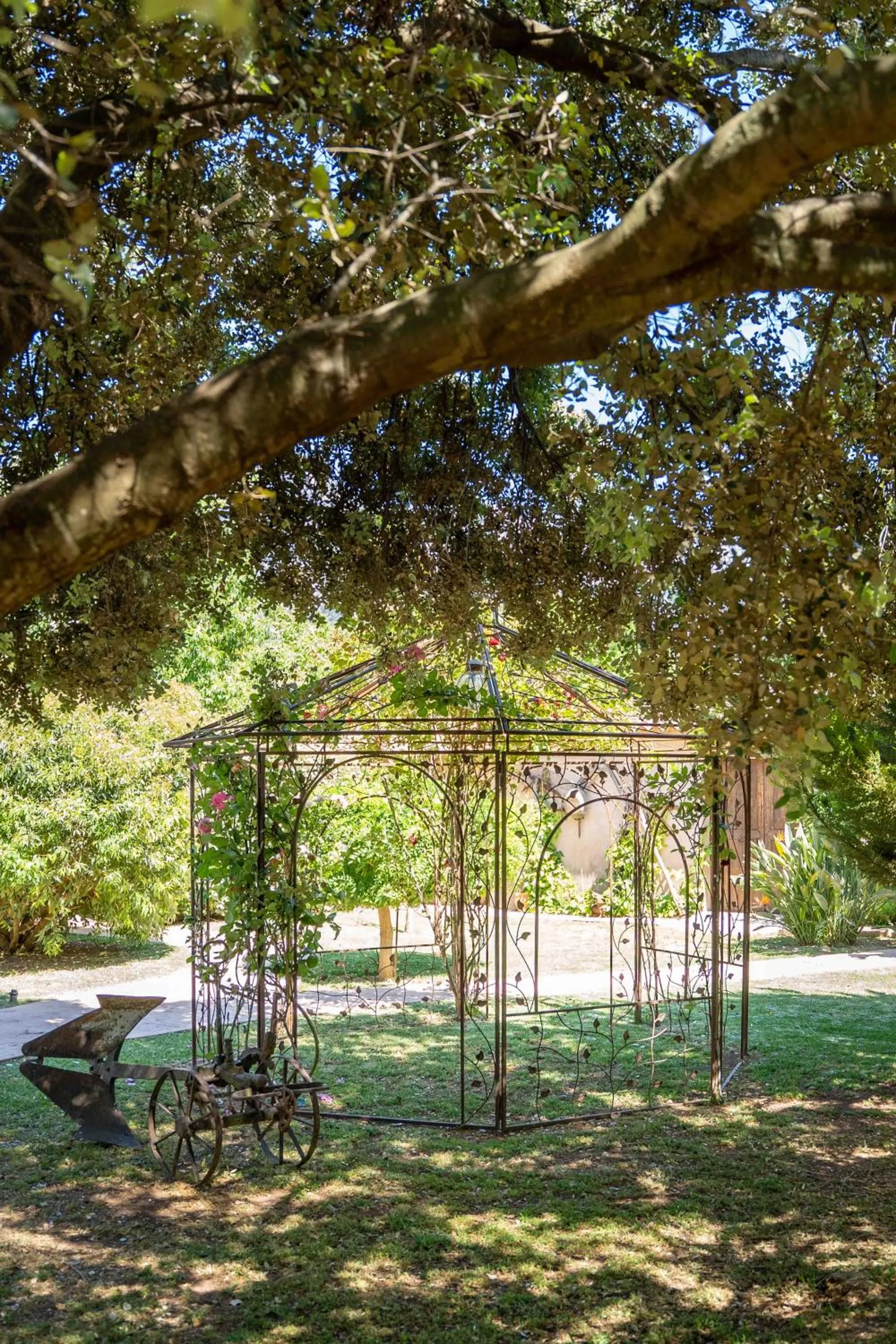 Garden in Finca Ca'n Quatre