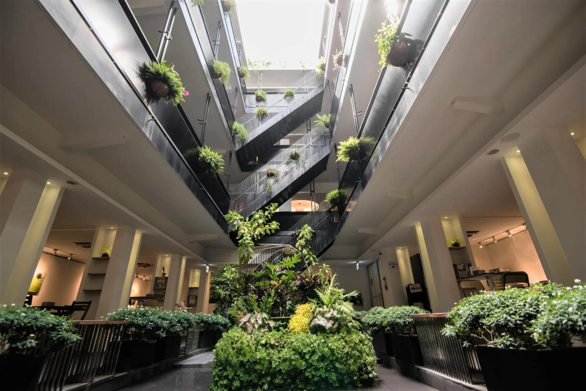 Lobby or reception in Norden Ruder Hostel Taitung