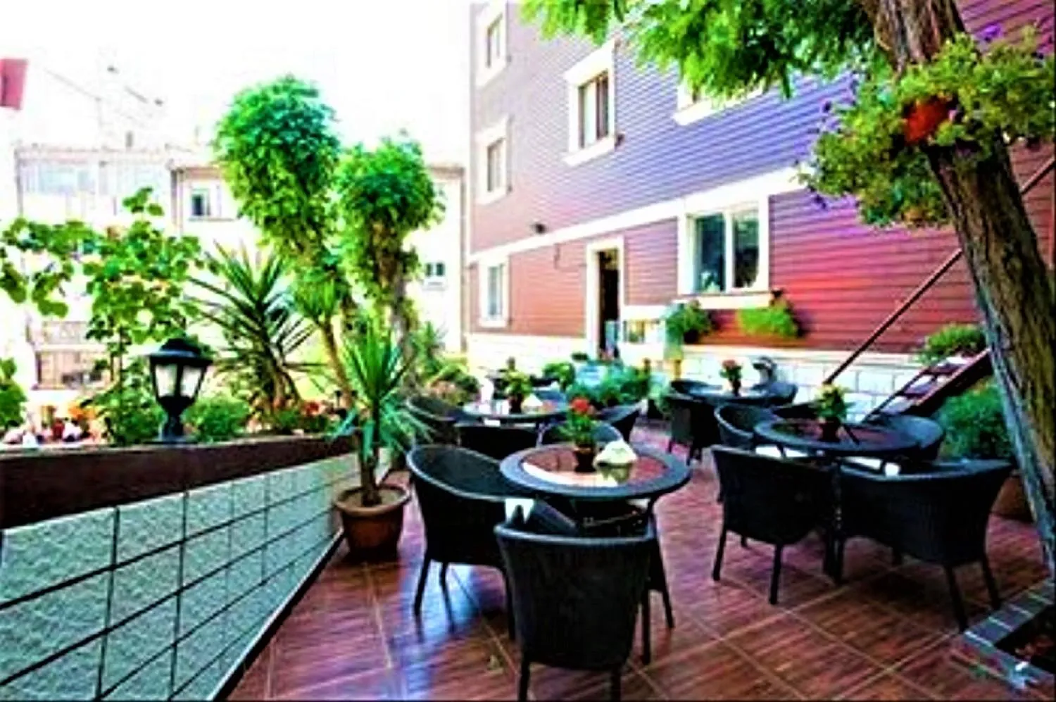 Garden view in Lausos Hotel Sultanahmet