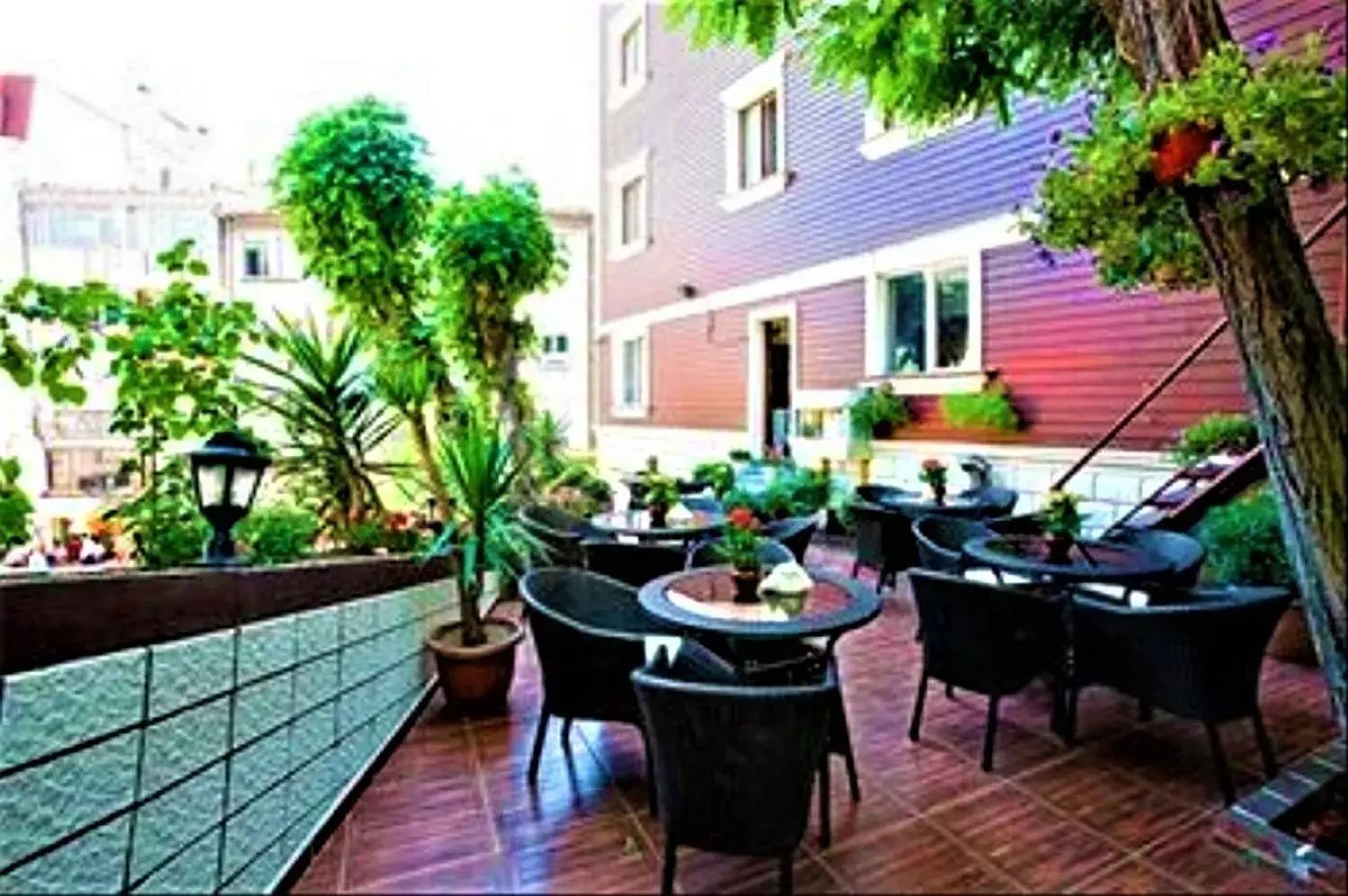 Garden view in Lausos Hotel Sultanahmet Garden view in Lausos Hotel Sultanahmet