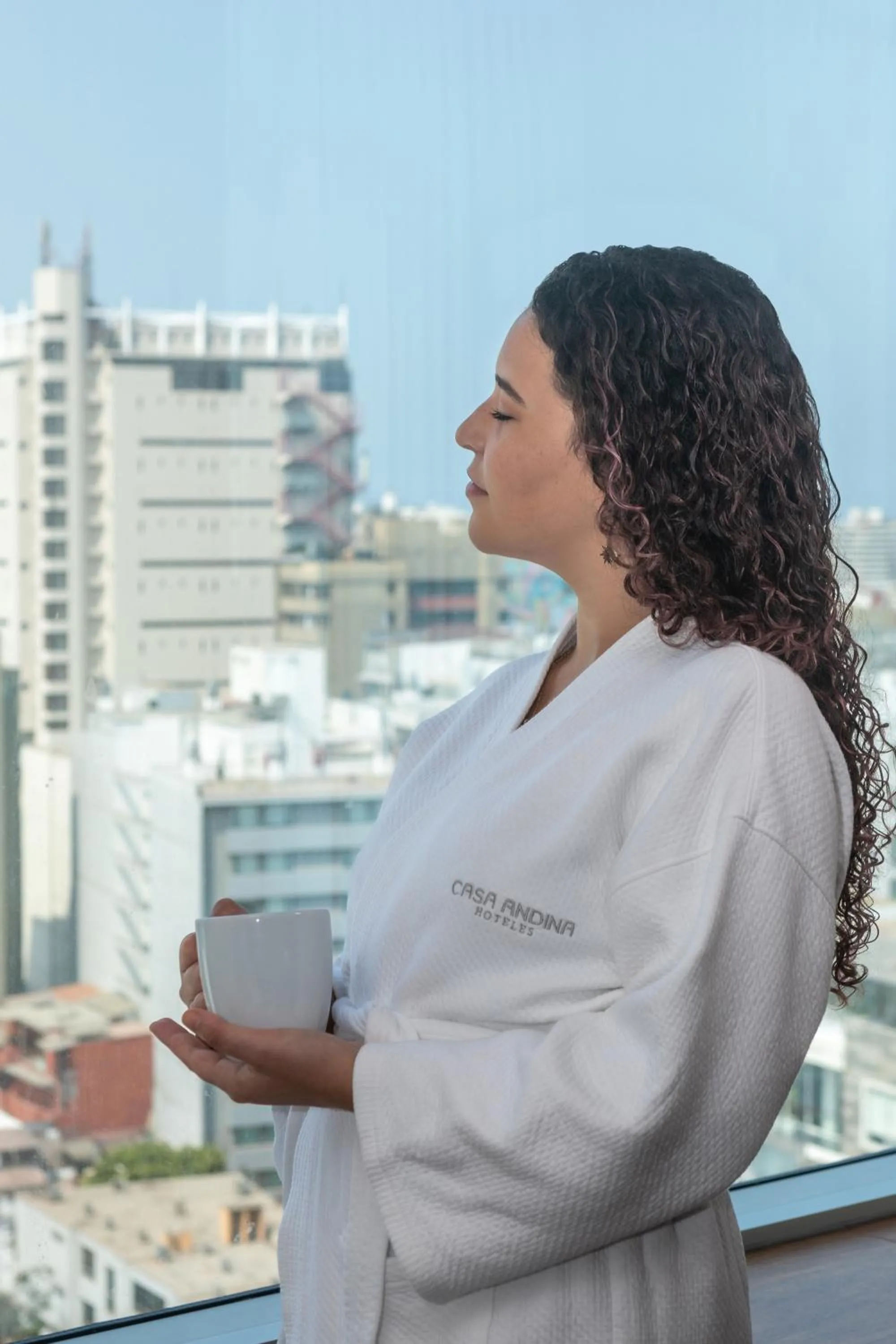 View (from property/room) in Casa Andina Premium Miraflores