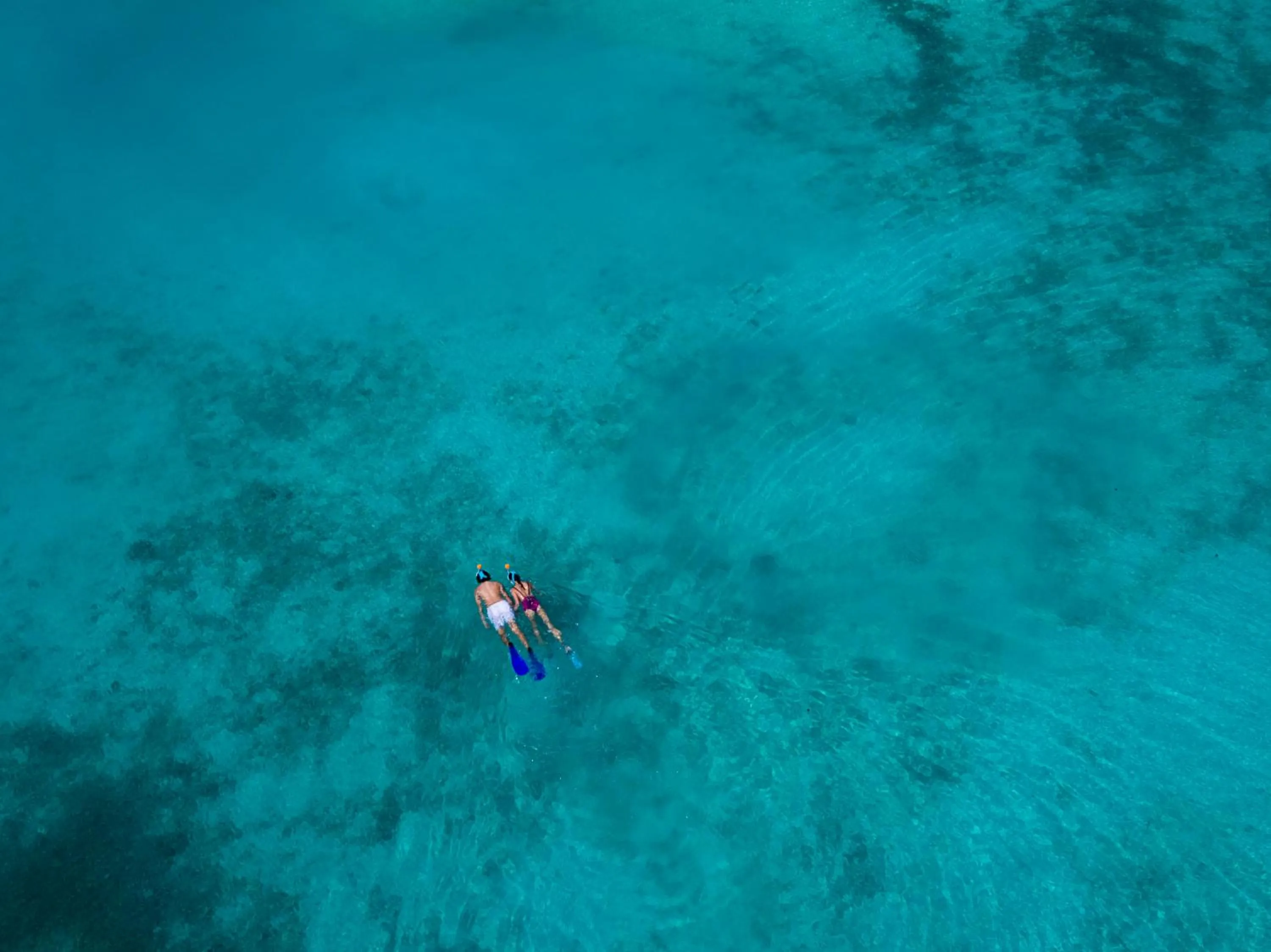 Snorkeling in Anantara Veli Maldives Resort