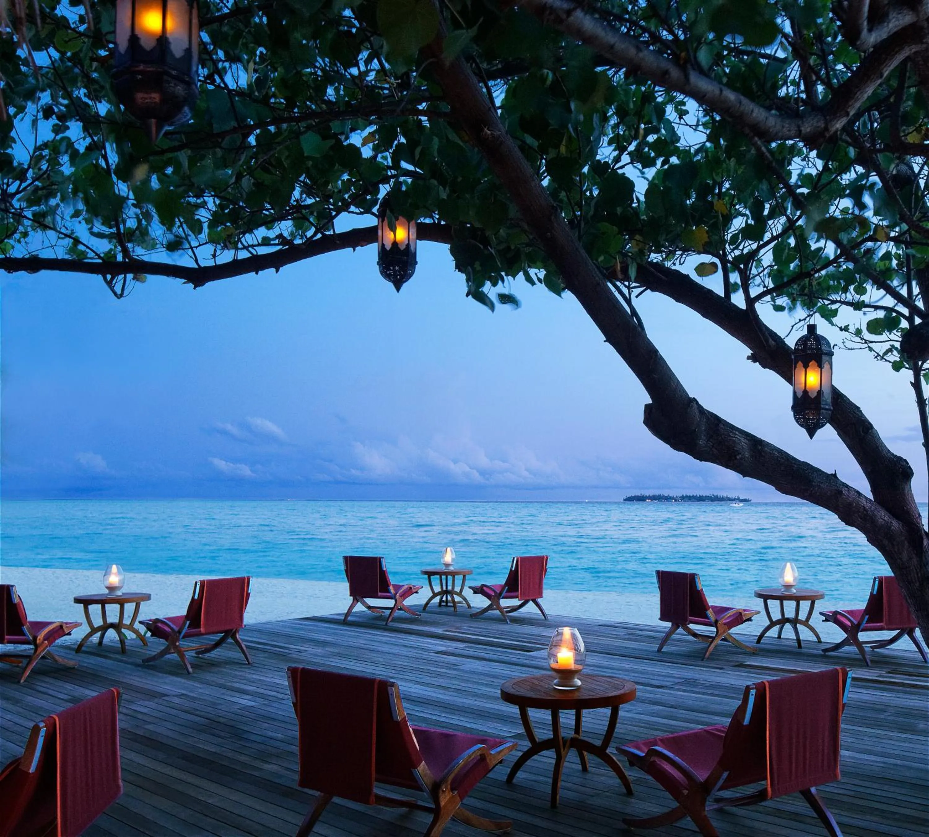 Lounge or bar in Taj Exotica Resort & Spa, Maldives