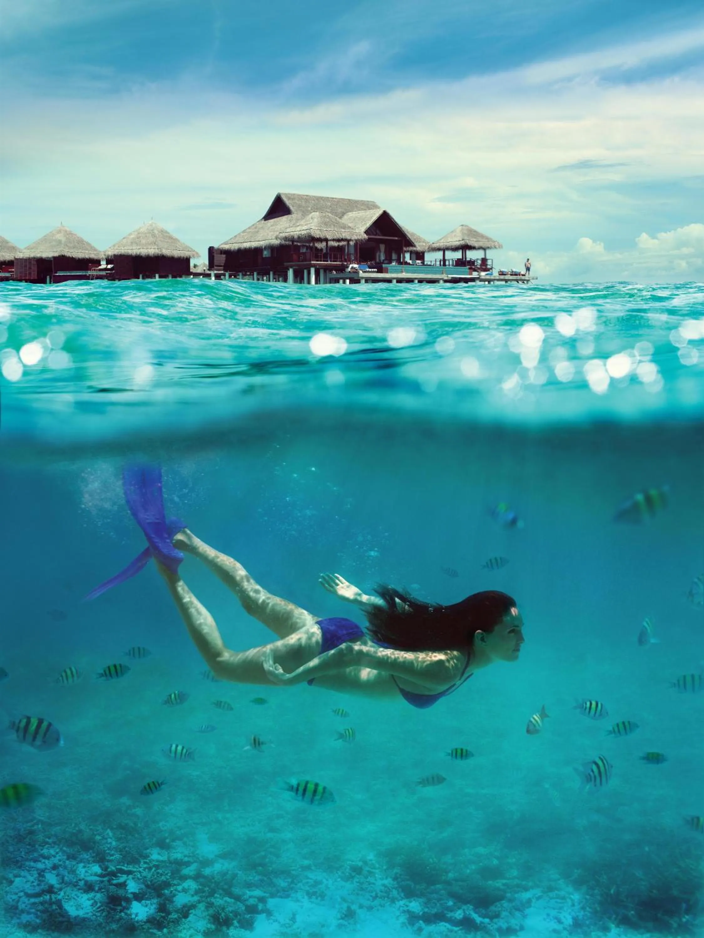Snorkeling in Taj Exotica Resort & Spa, Maldives