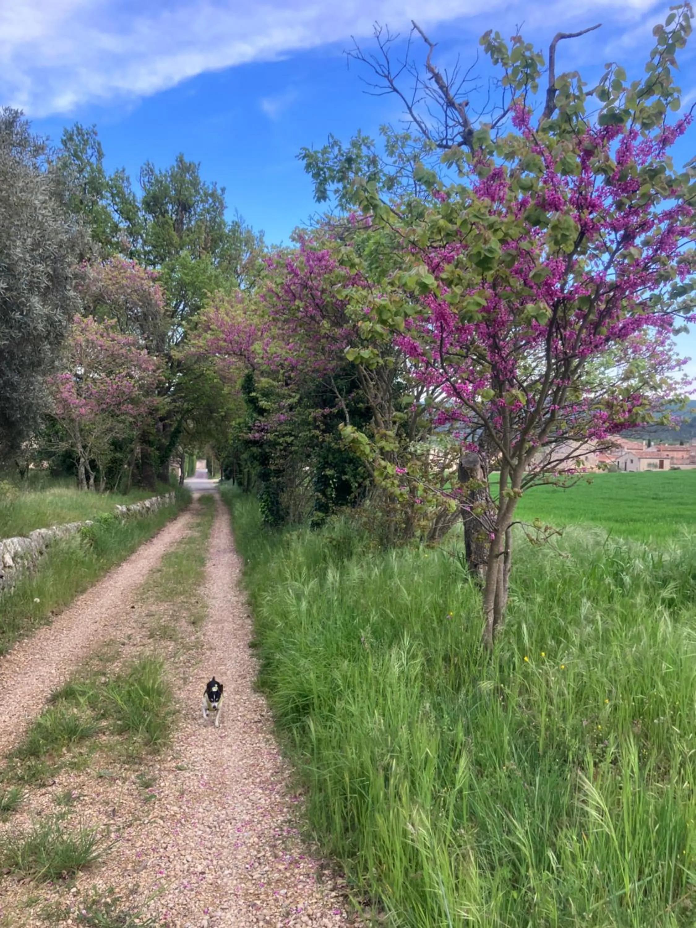 Hotel Le Moulin du Château