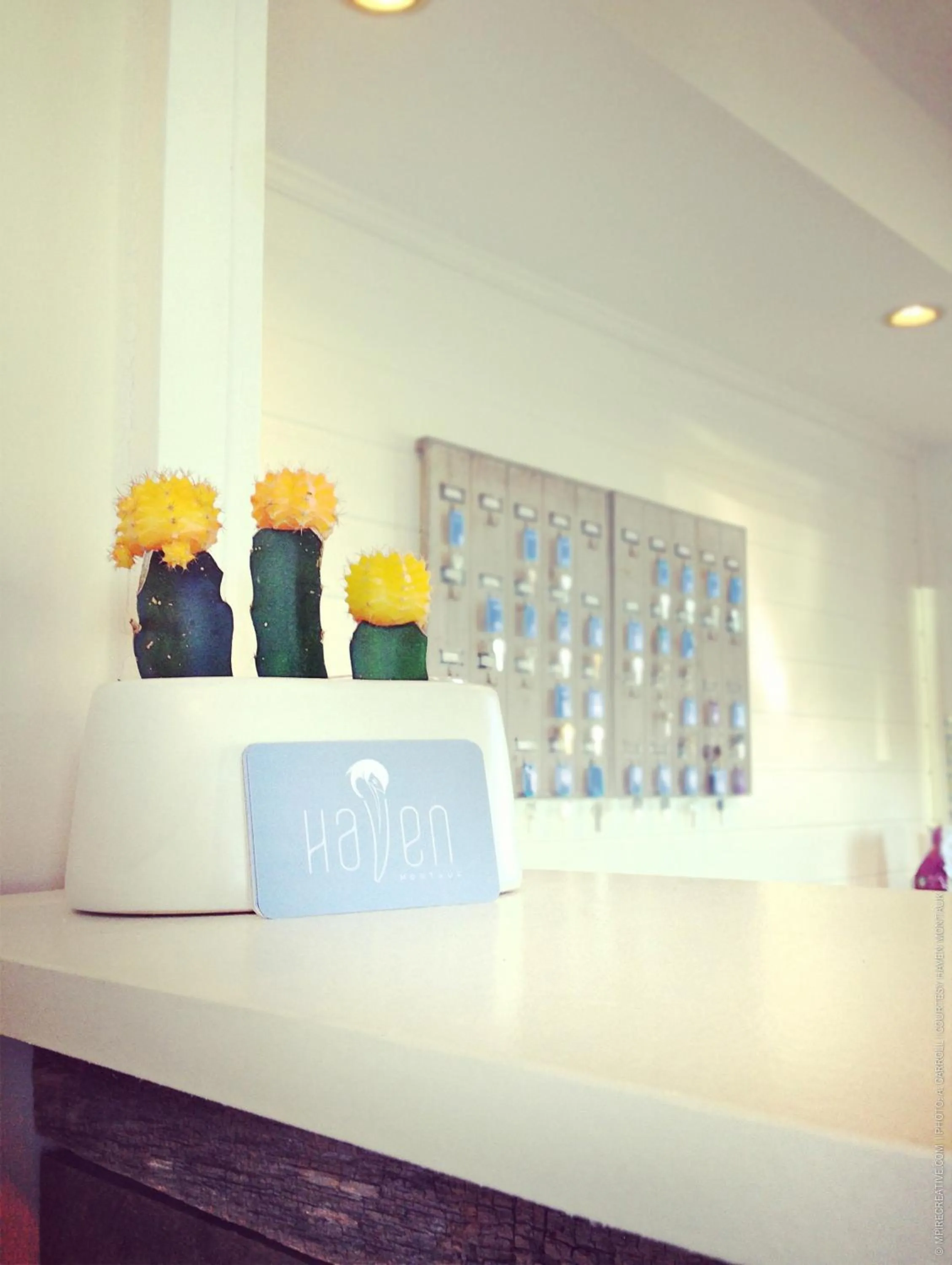 Lobby or reception in Haven Montauk