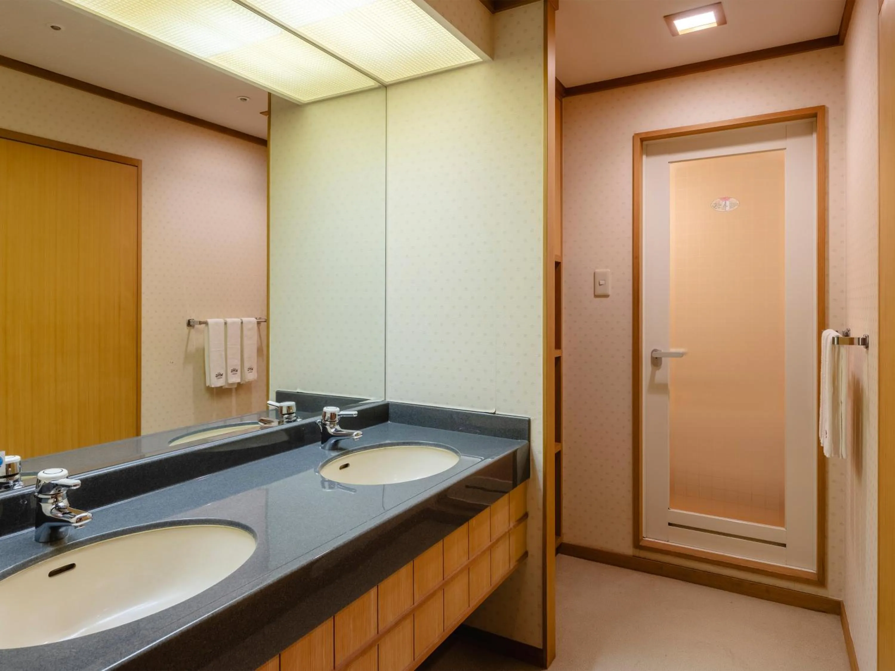 Bathroom in Tsubamesanjo Washington Hotel