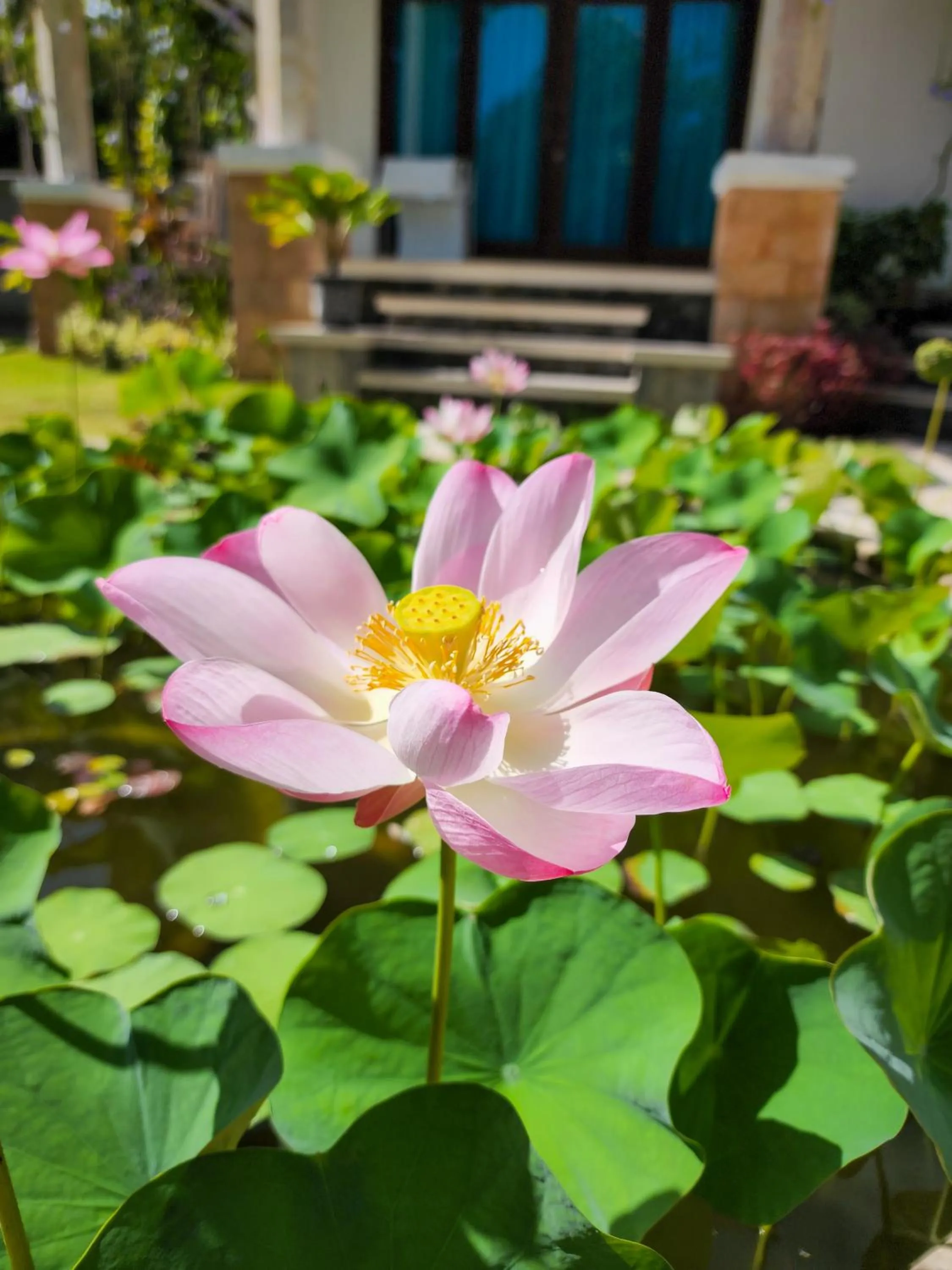 Garden in Villa Sky Dancer - Bali