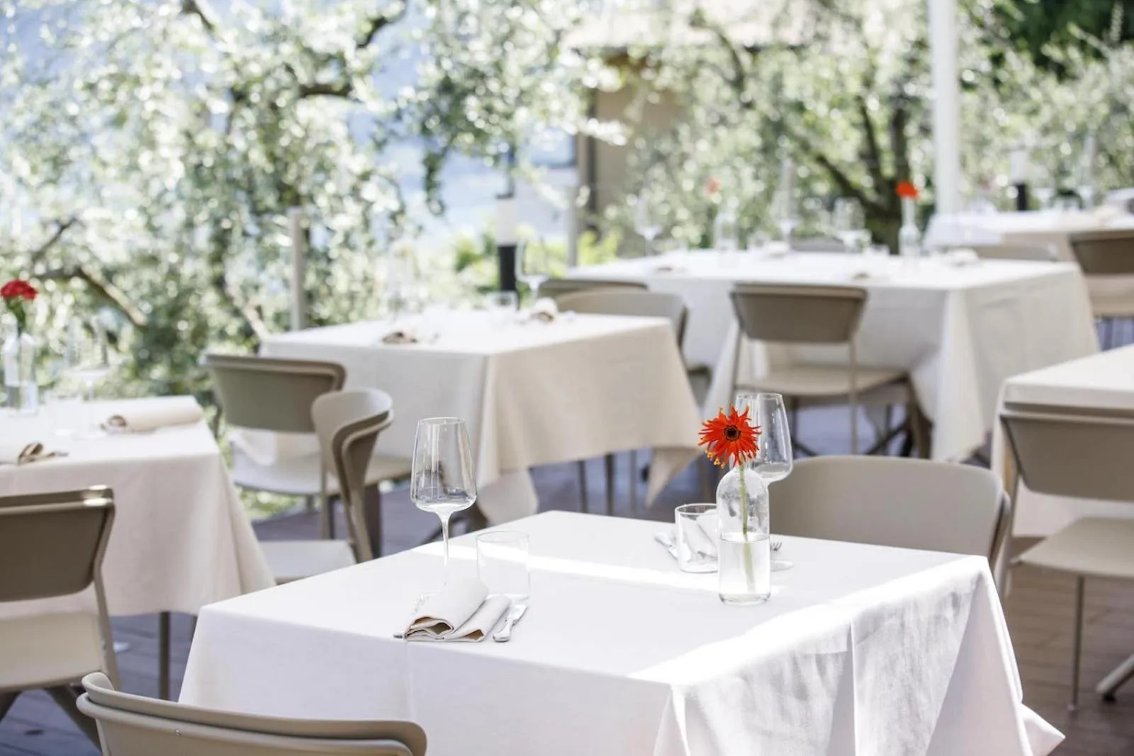 Restaurant/places to eat in Hotel Miranda