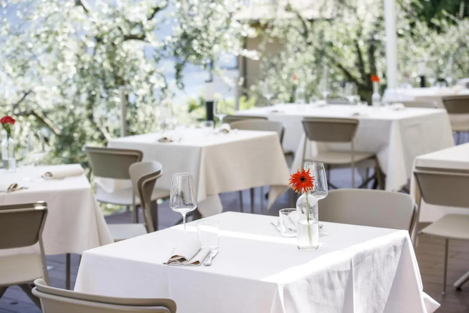 Restaurant/places to eat in Hotel Miranda Restaurant/places to eat in Hotel Miranda