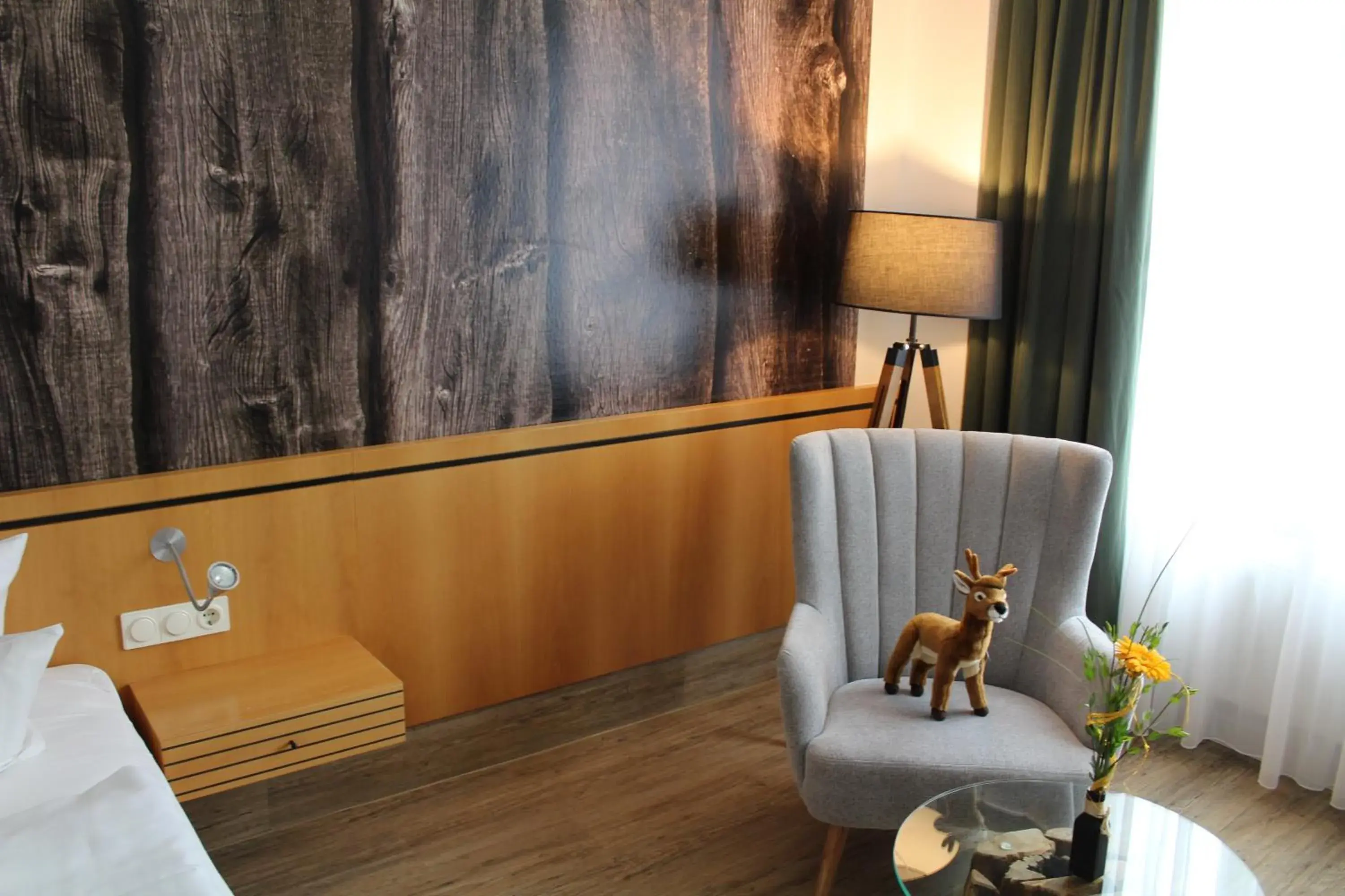 Superior Single Room in Hotel Rennsteig Superior Single Room in Hotel Rennsteig