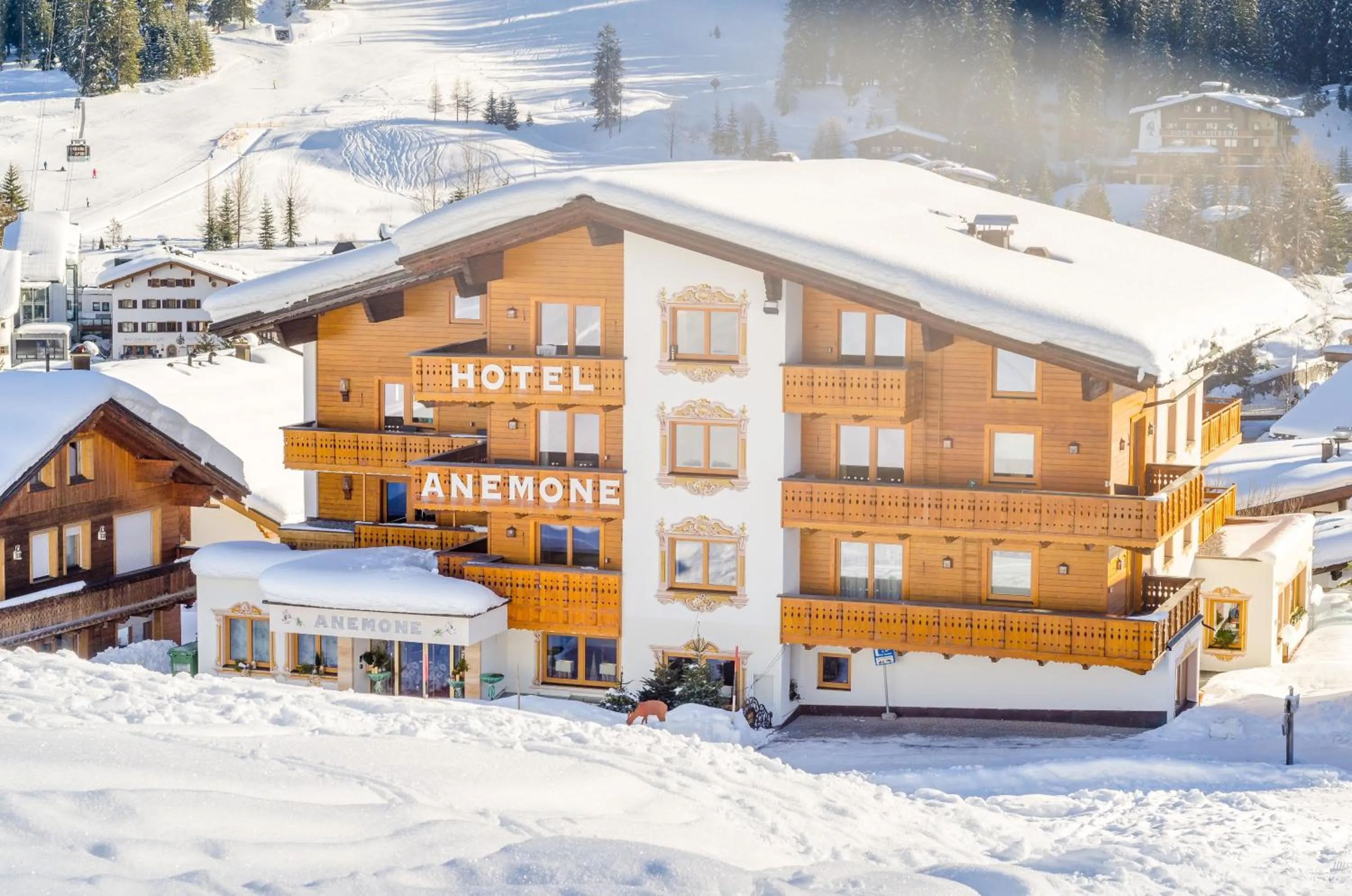 Property building in Hotel Anemone