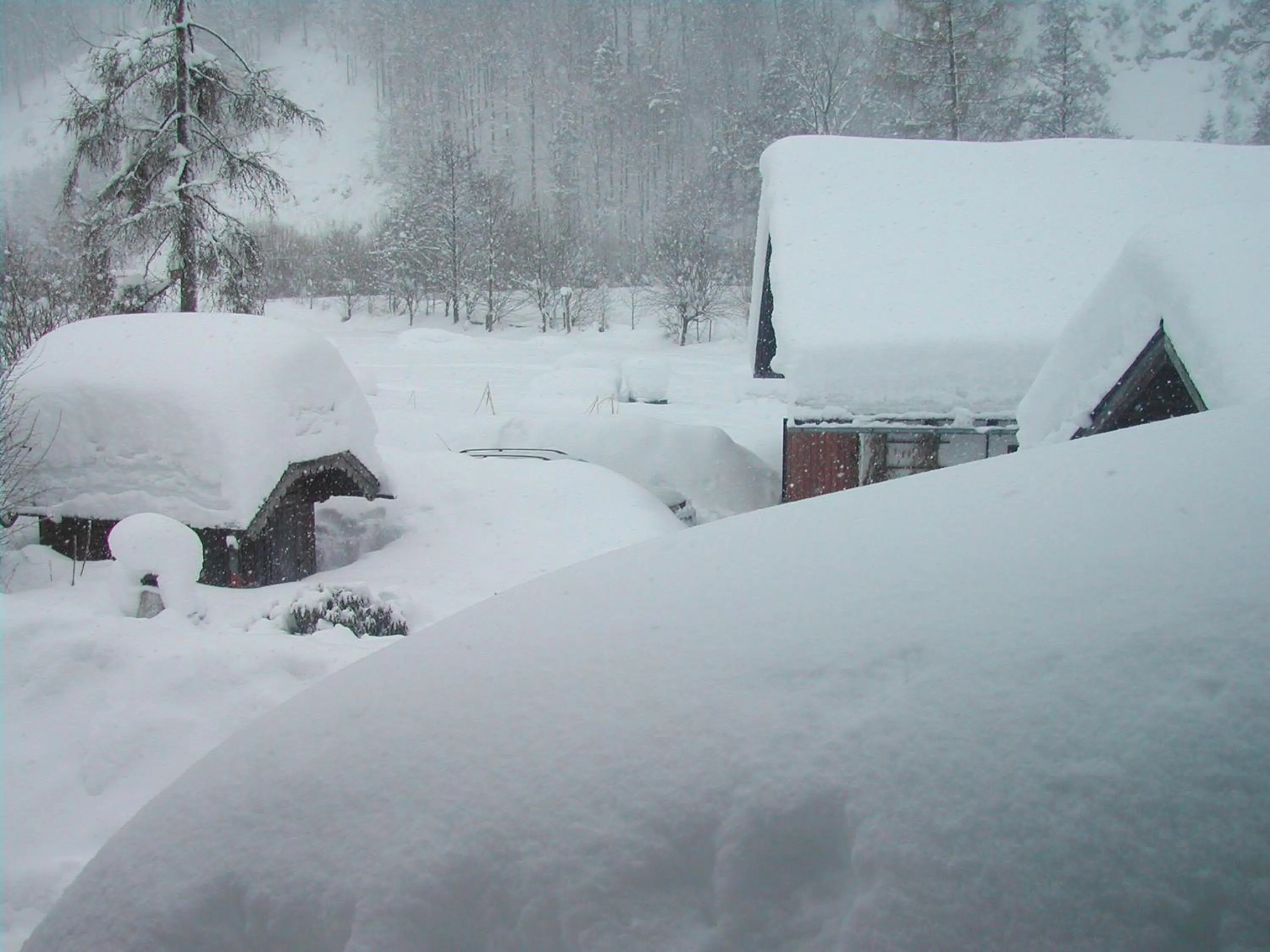 Natural landscape in Landhaus Leitner am Wolfgangsee