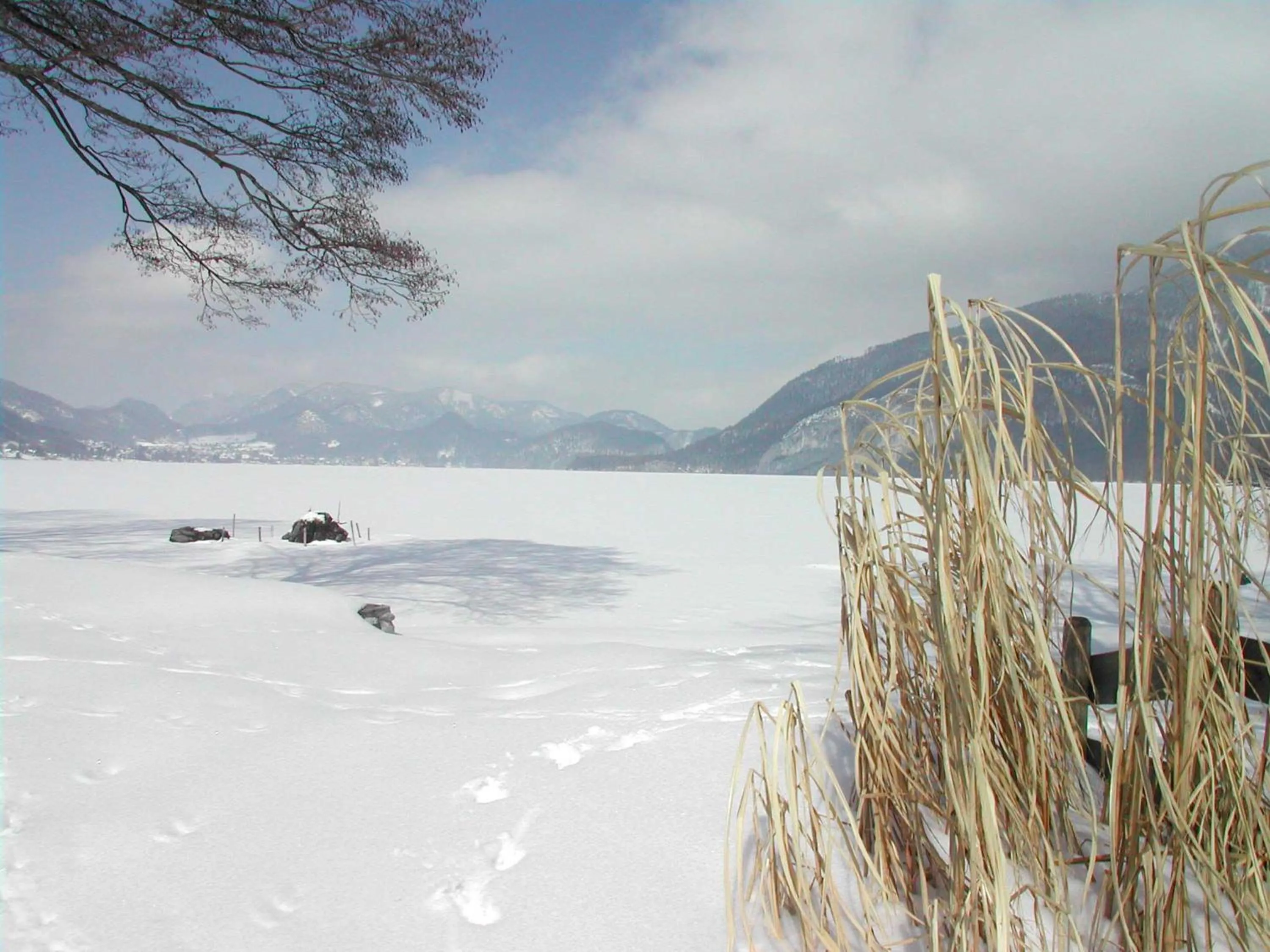 Natural landscape in Landhaus Leitner am Wolfgangsee