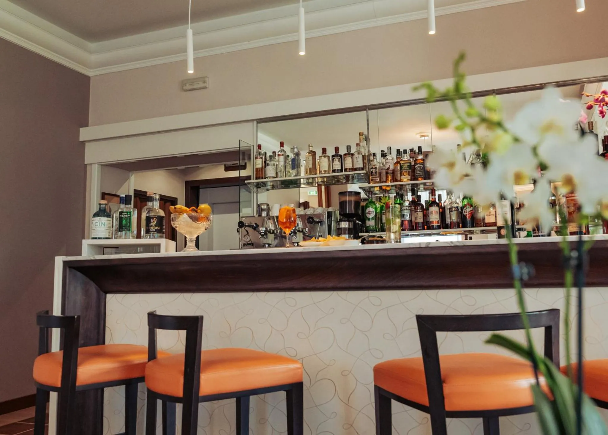 Lounge or bar in Hotel Flora