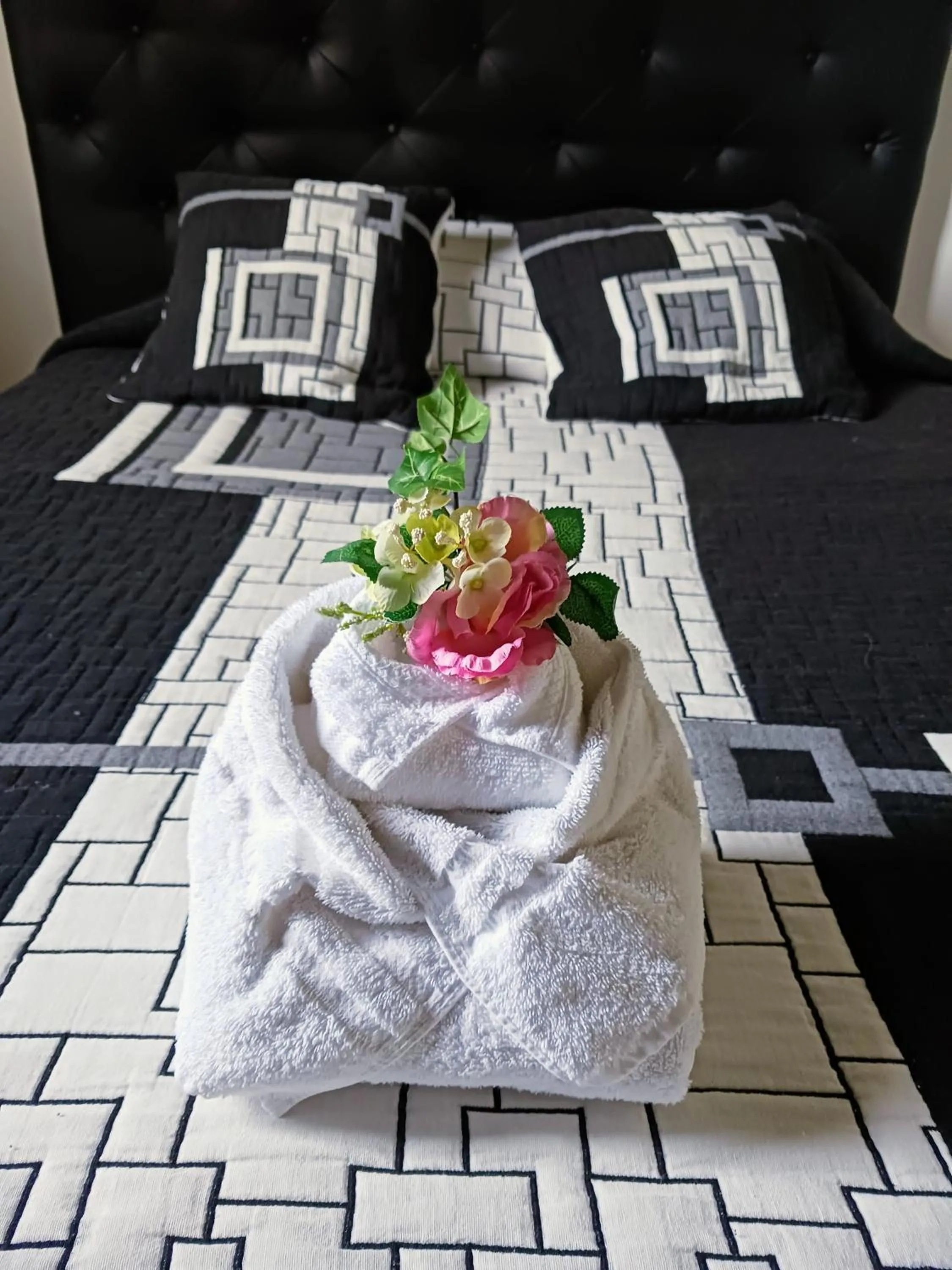 towels in Hotel Du Lac