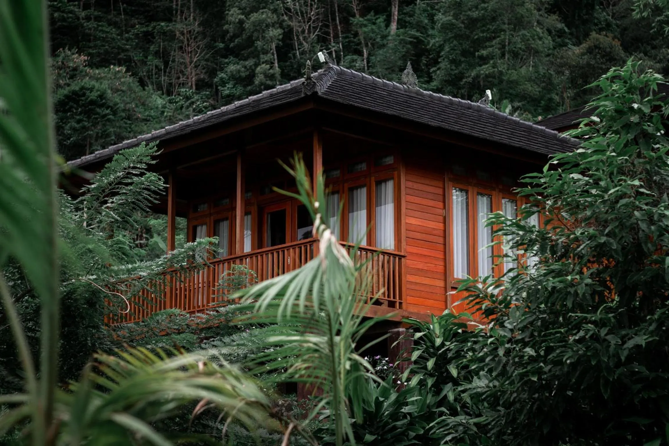 Property building in Munduk Menir Villas