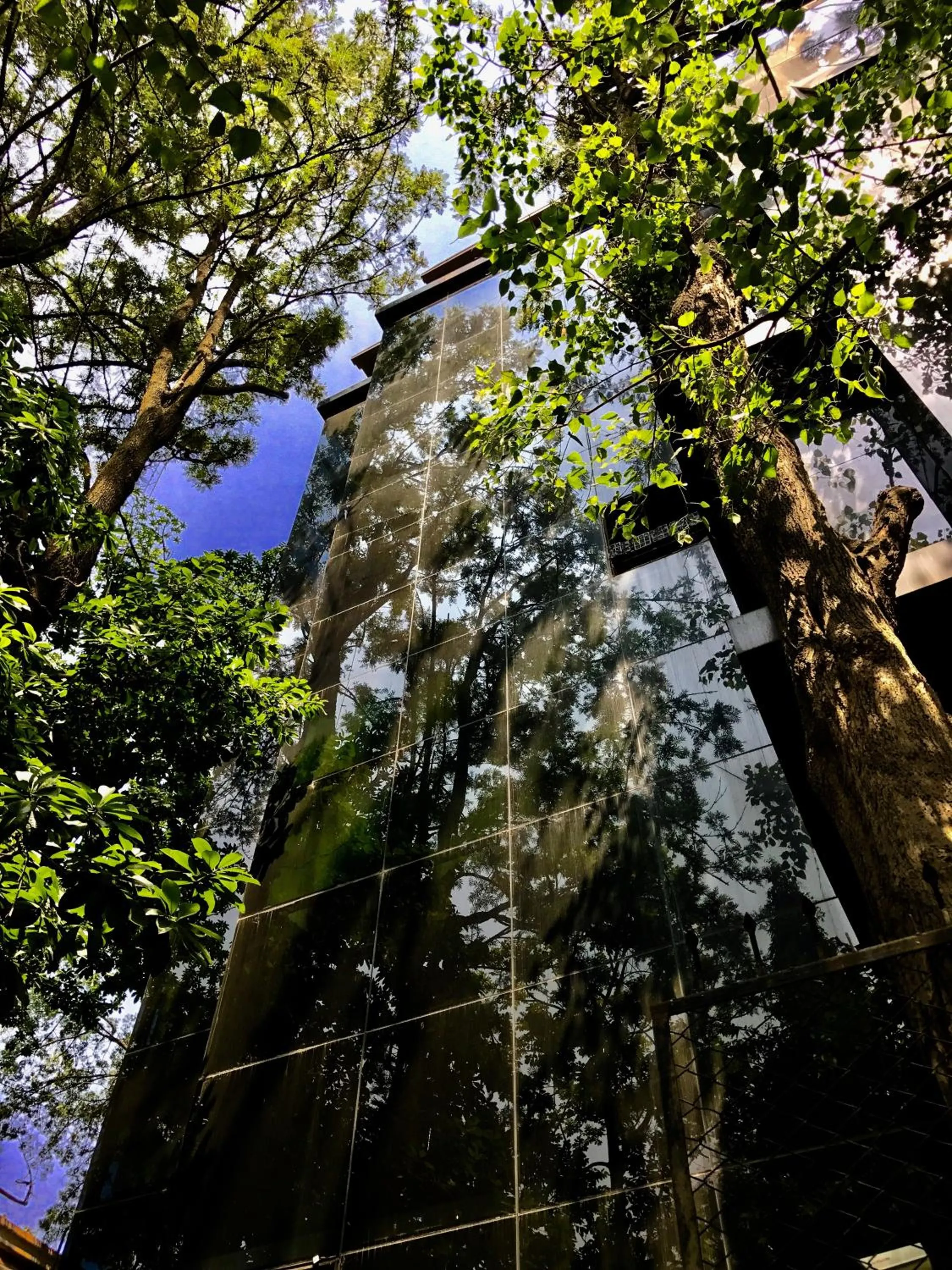 Property building in Golden Lotus Bangalore Boutique Suites