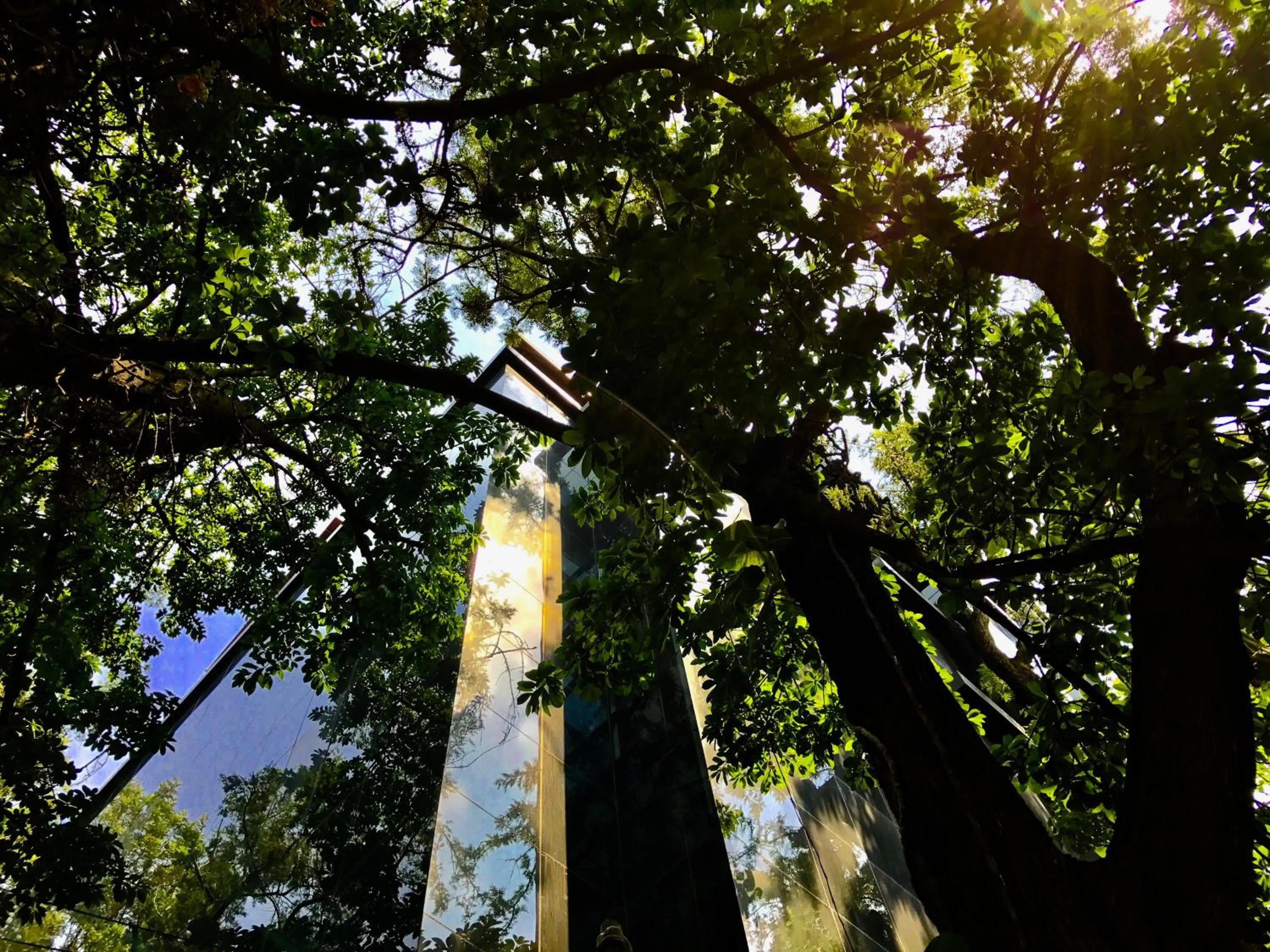 Property building in Golden Lotus Bangalore Boutique Suites