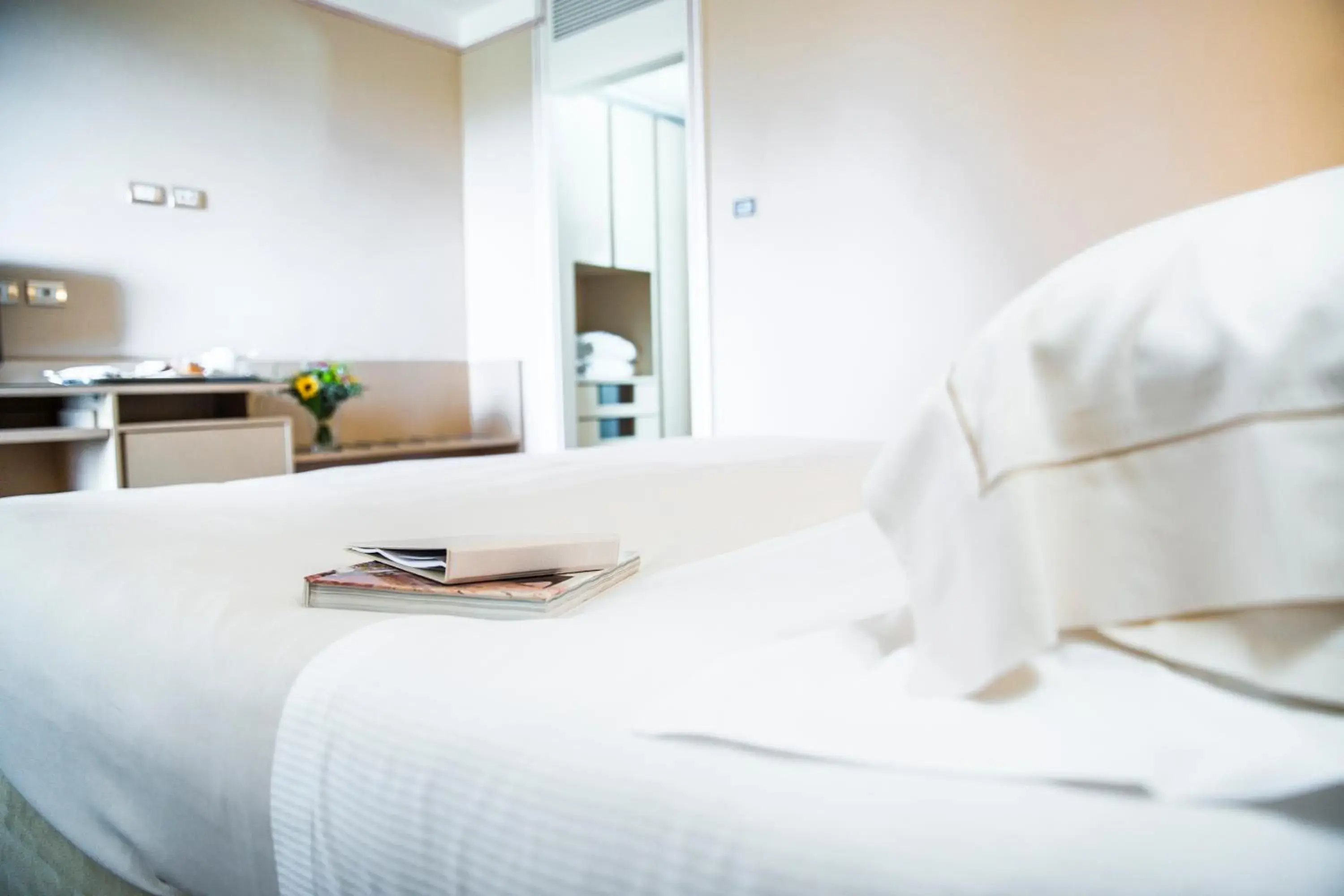 Standard Room with Partial Lake View and Spa Access - single occupancy in Hotel Acquaviva Del Garda Standard Room with Partial Lake View and Spa Access - single occupancy in Hotel Acquaviva Del Garda