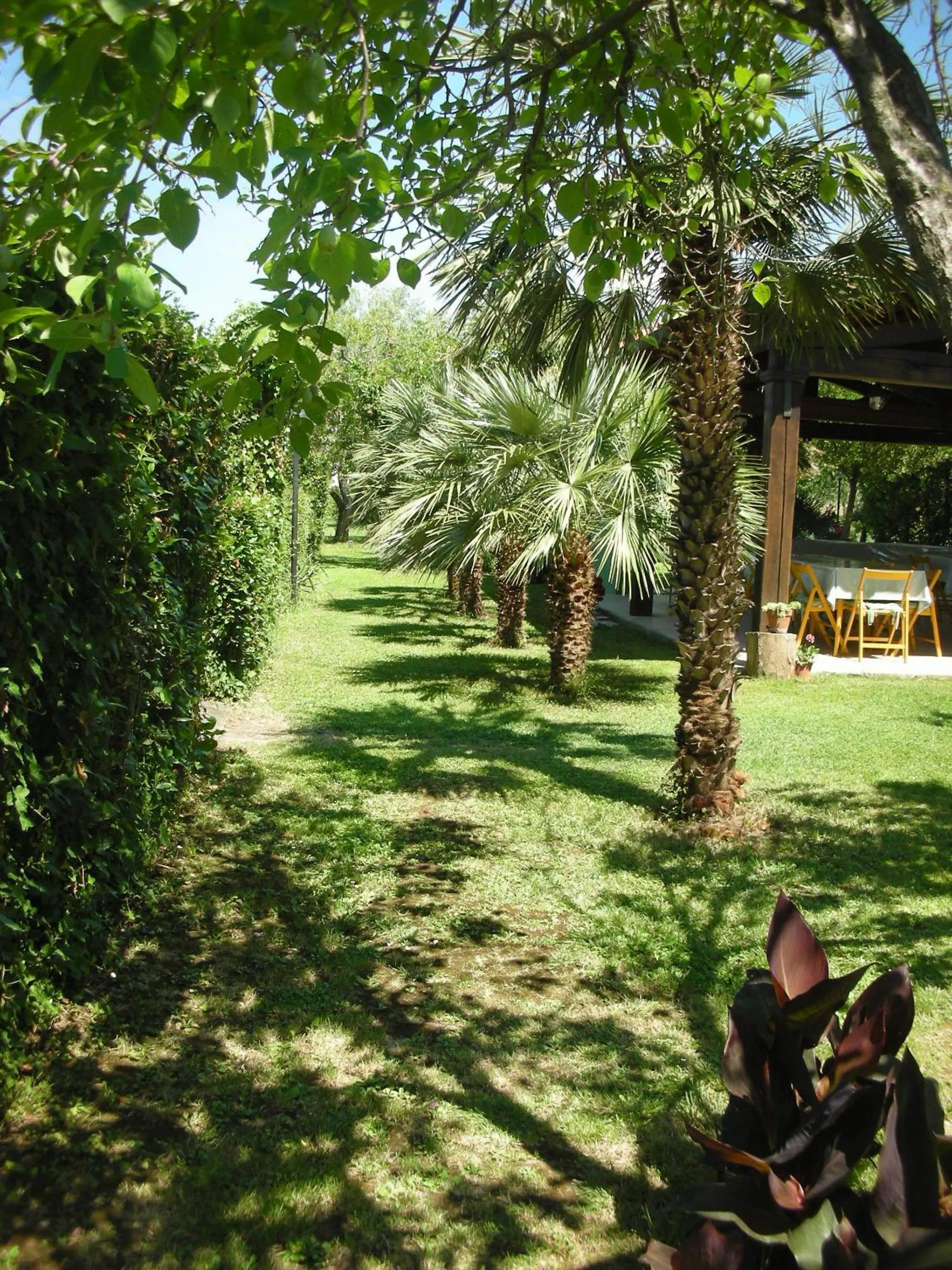 Garden in B&B Da Pio