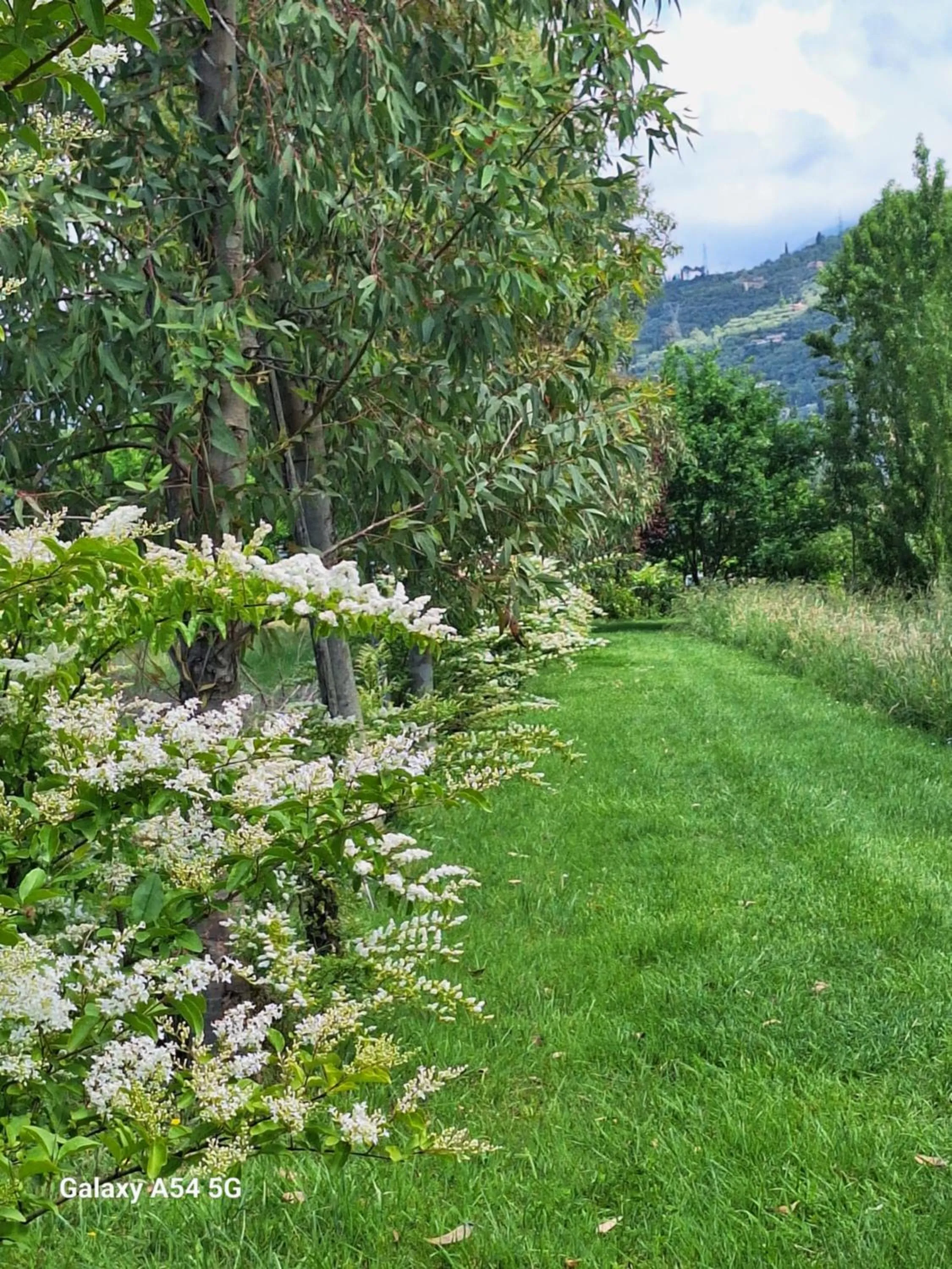 Garden view in B&B Da Pio