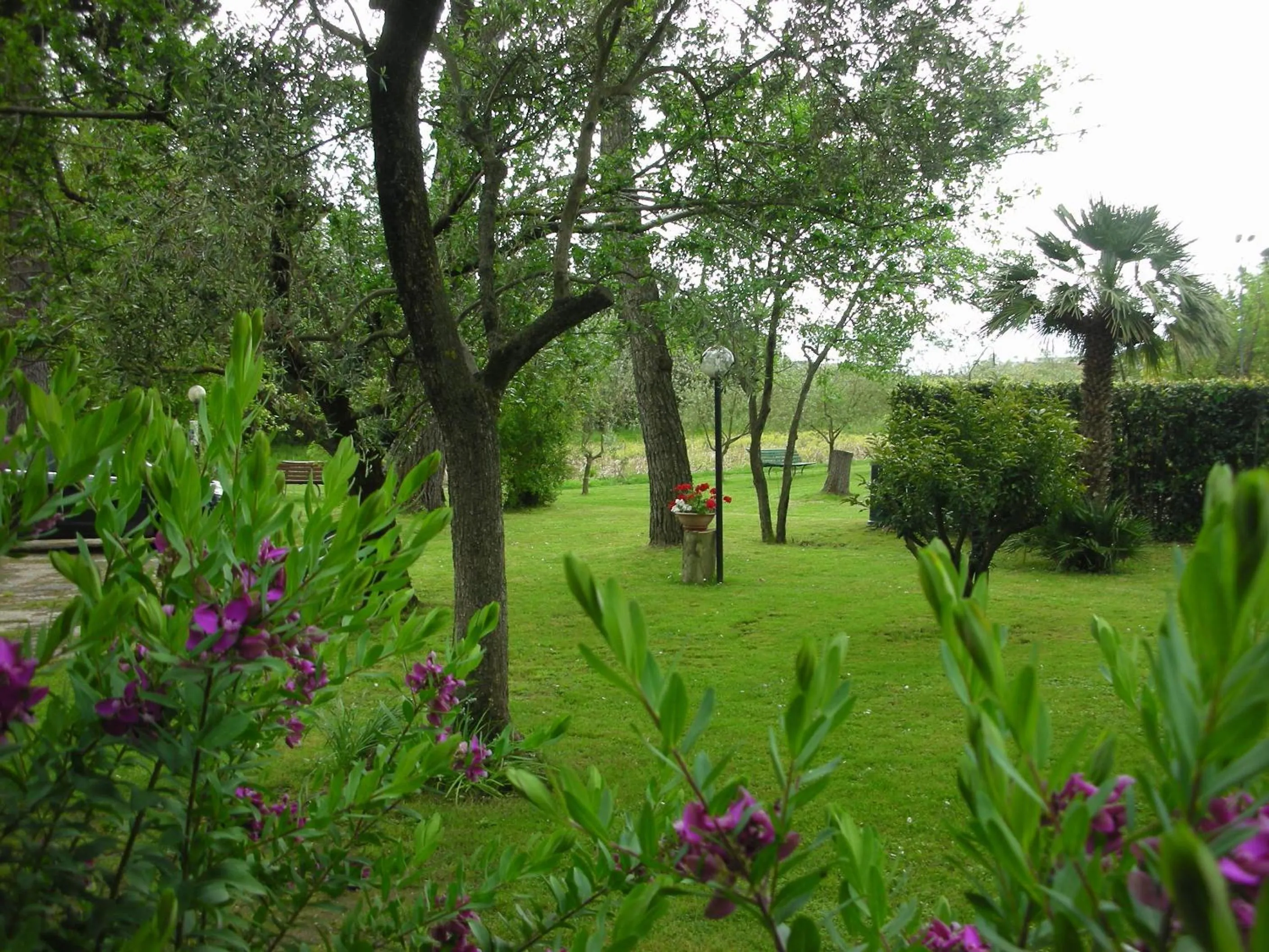 Garden in B&B Da Pio